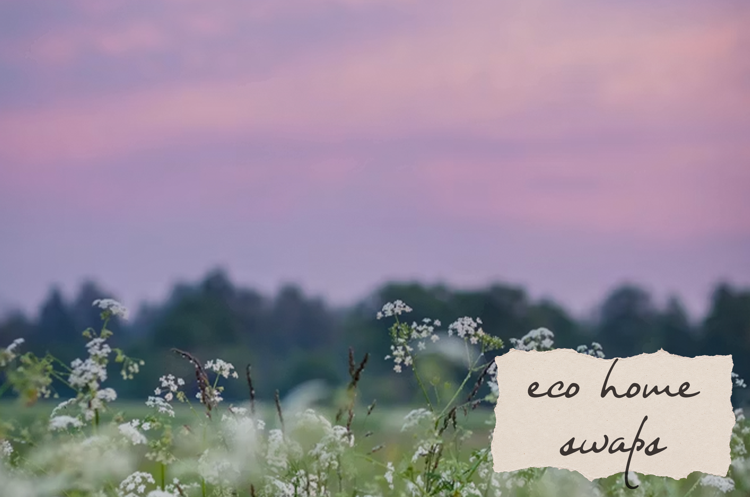 Easy Eco-Friendly Swaps