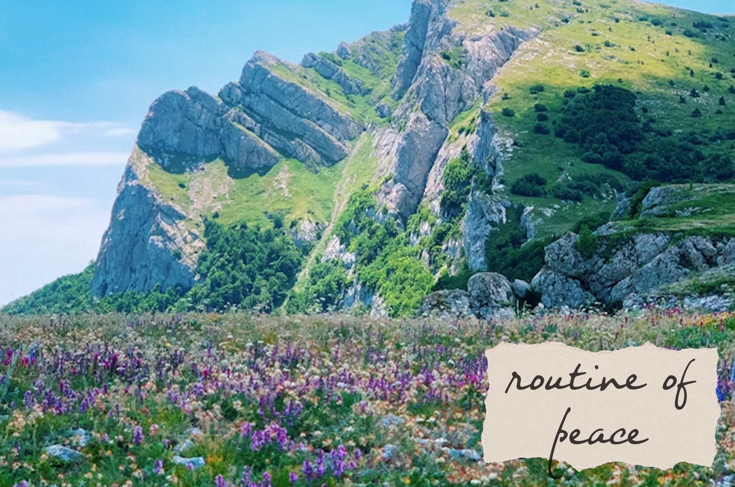 Creating a Peaceful Routine