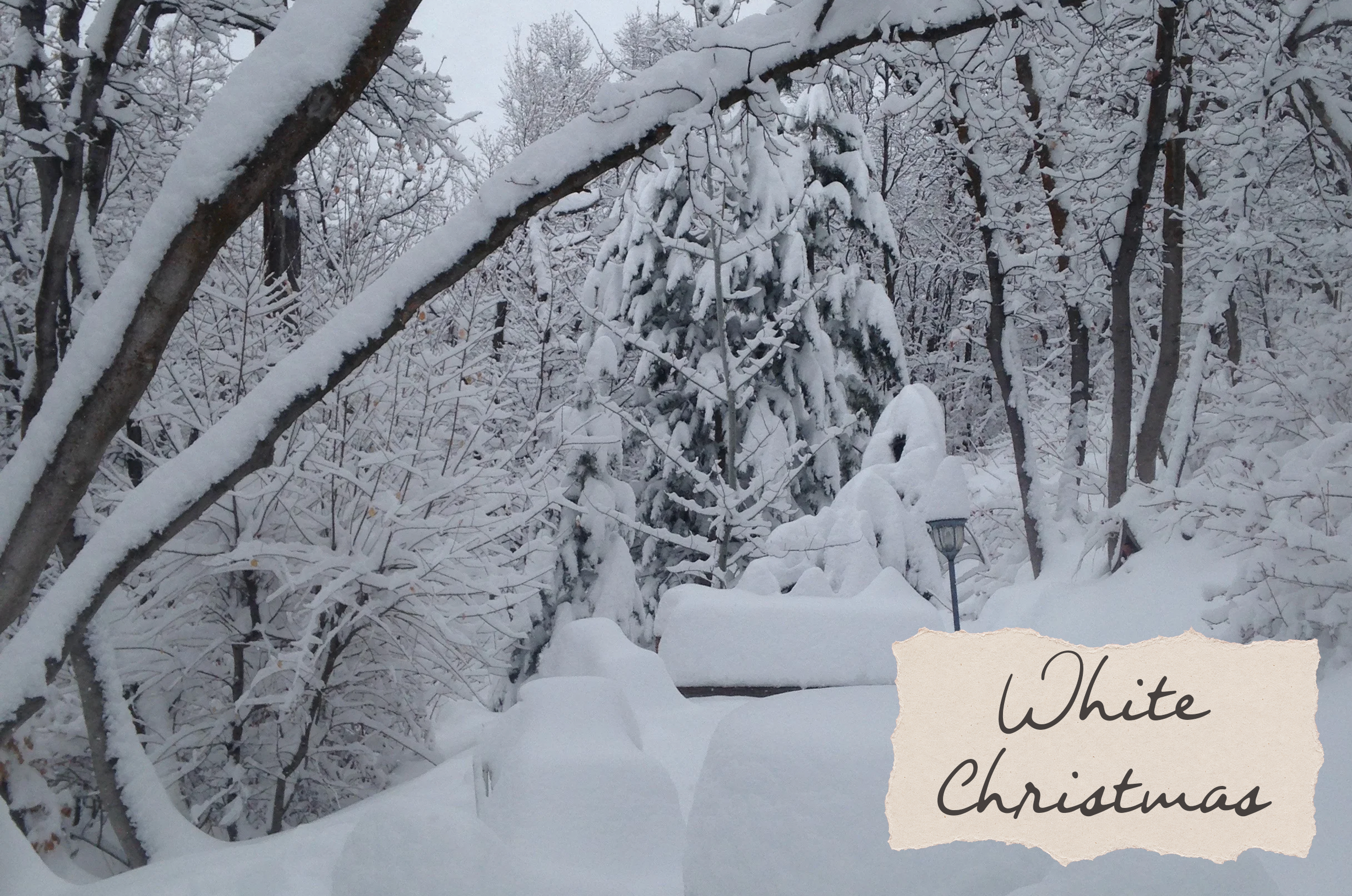 A Very White Christmas