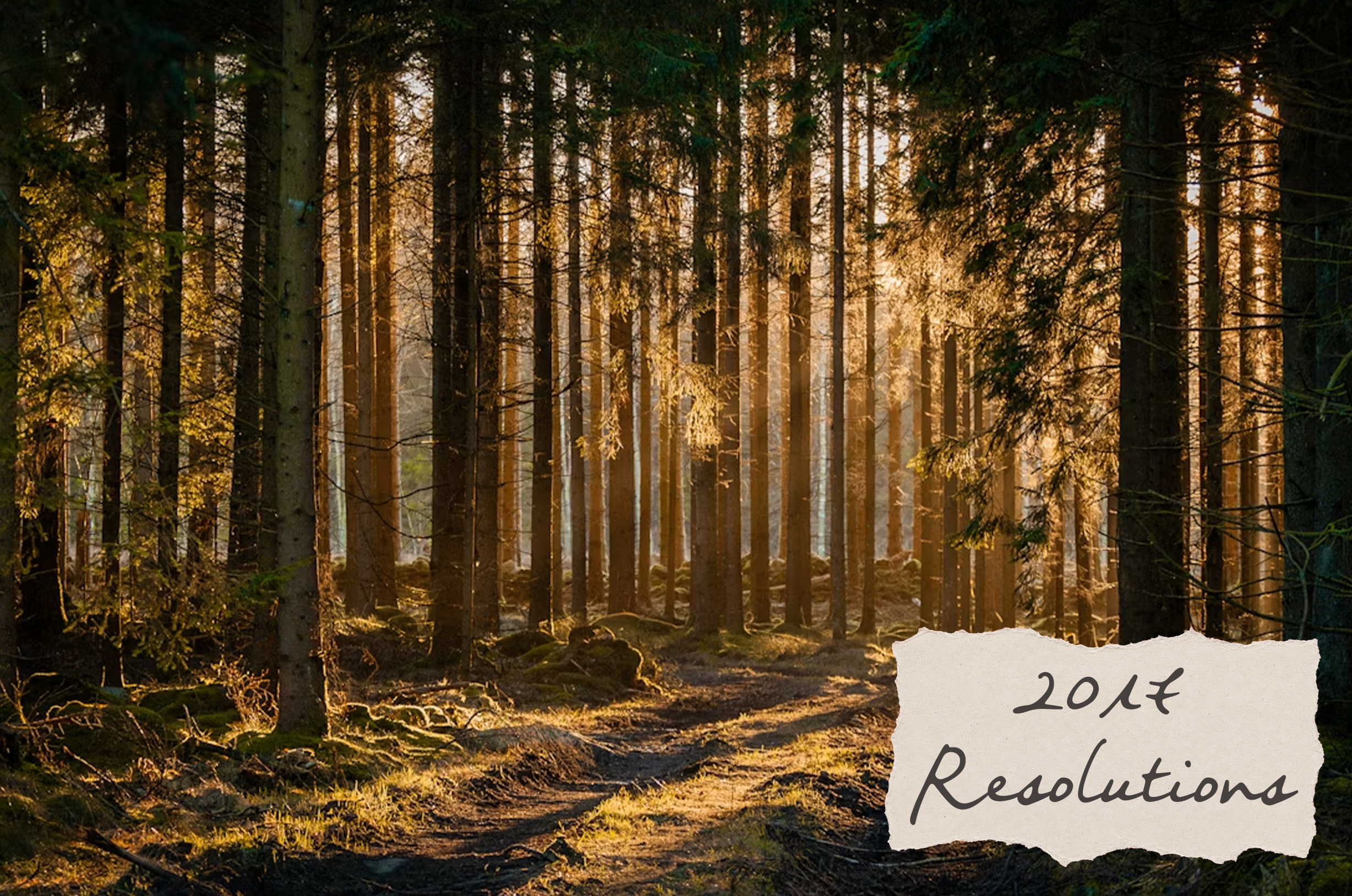 2017: Resolutions