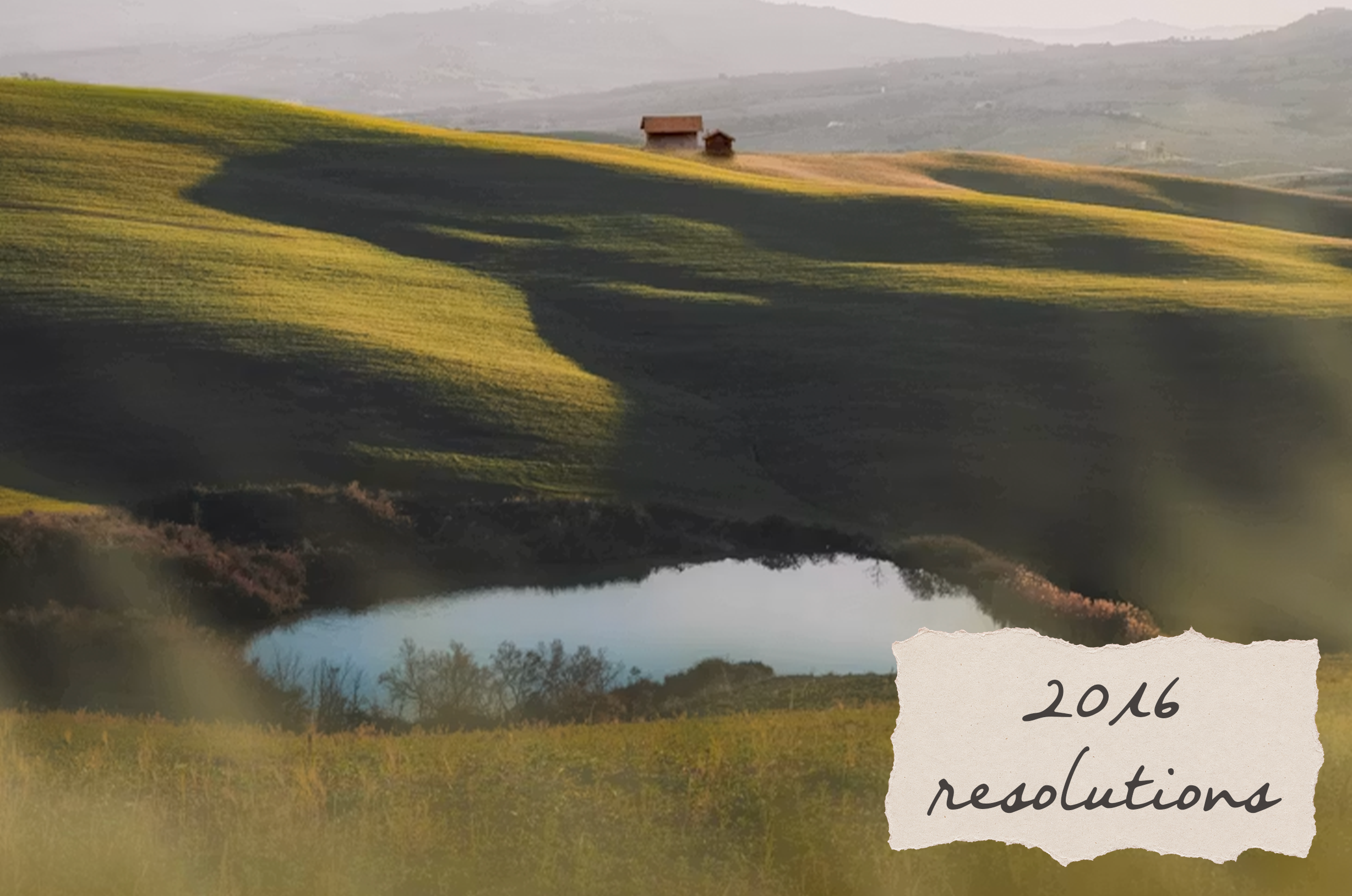 2016: Resolutions
