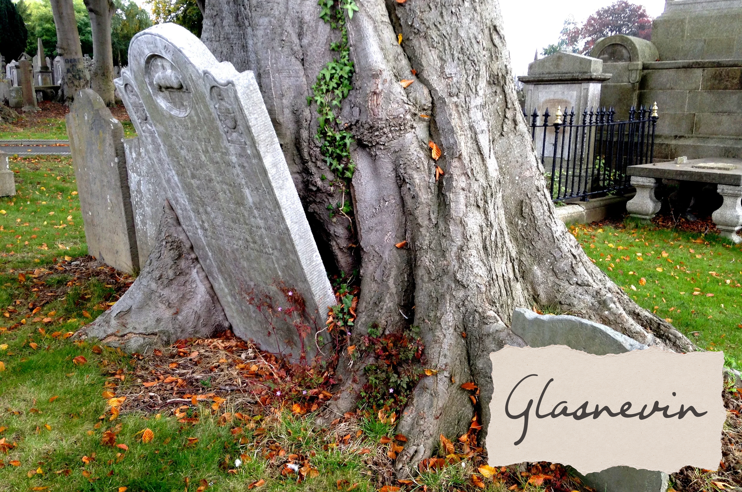 I Love Graveyards?!