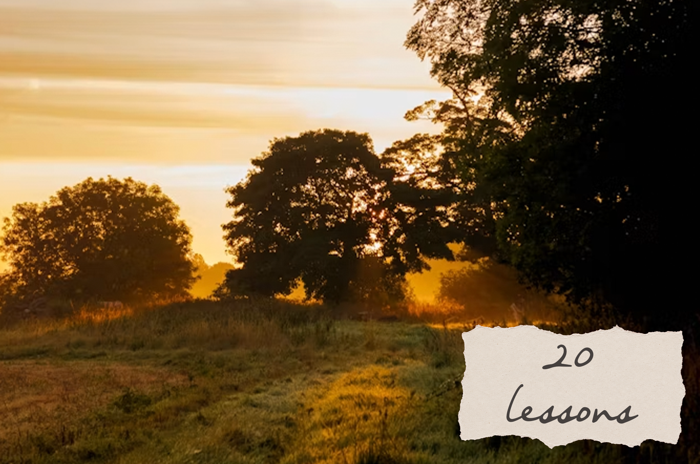 20 Things I Learned During 20