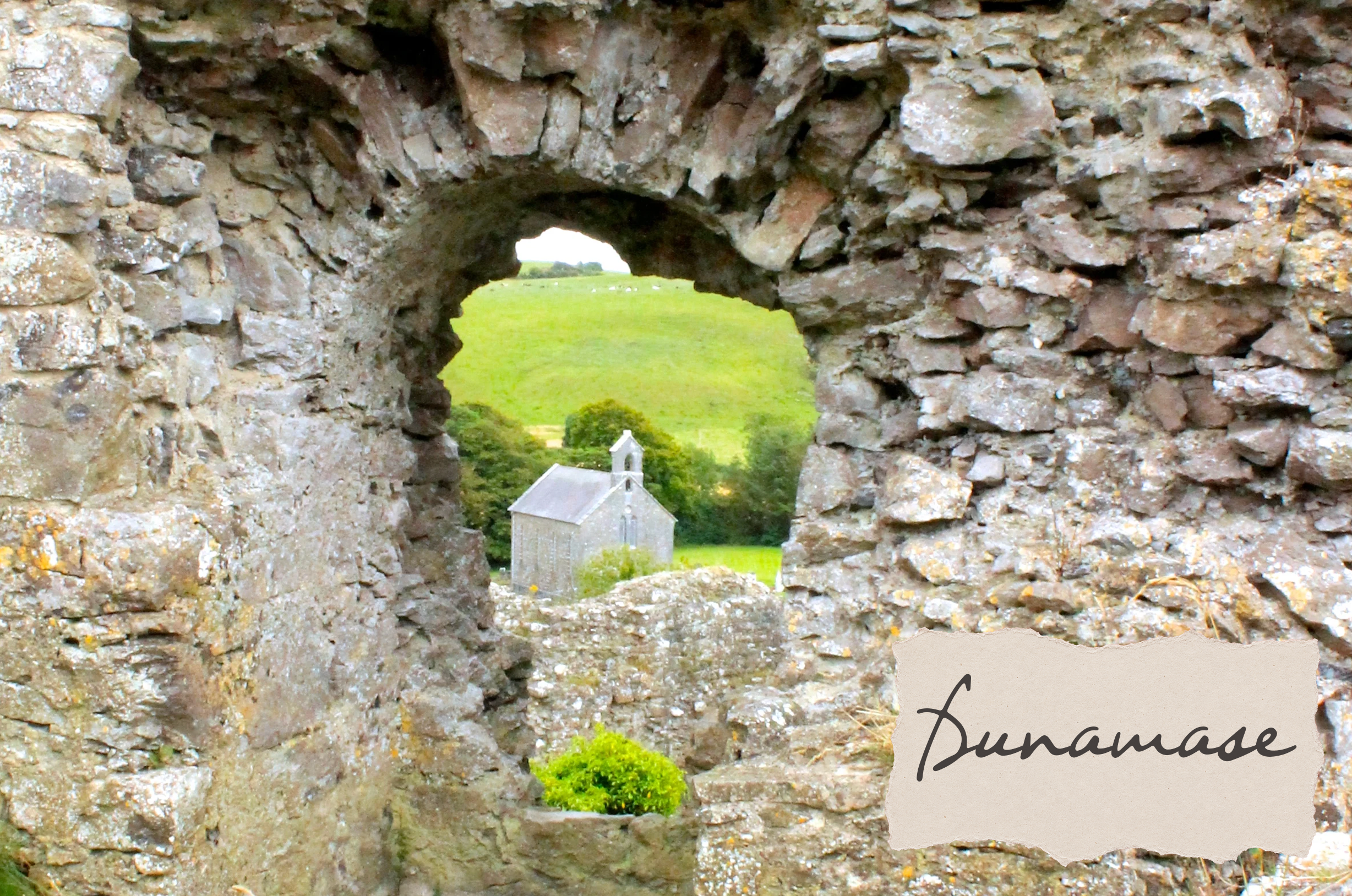 The Rock of Dunamase