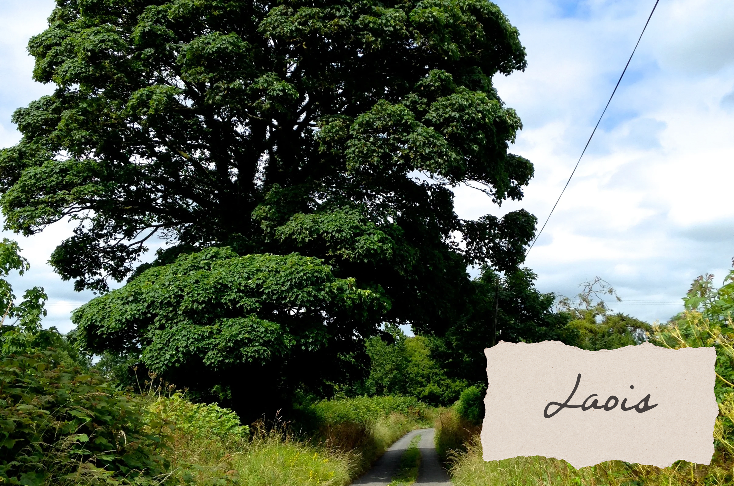 Walking the back roads in Ireland
