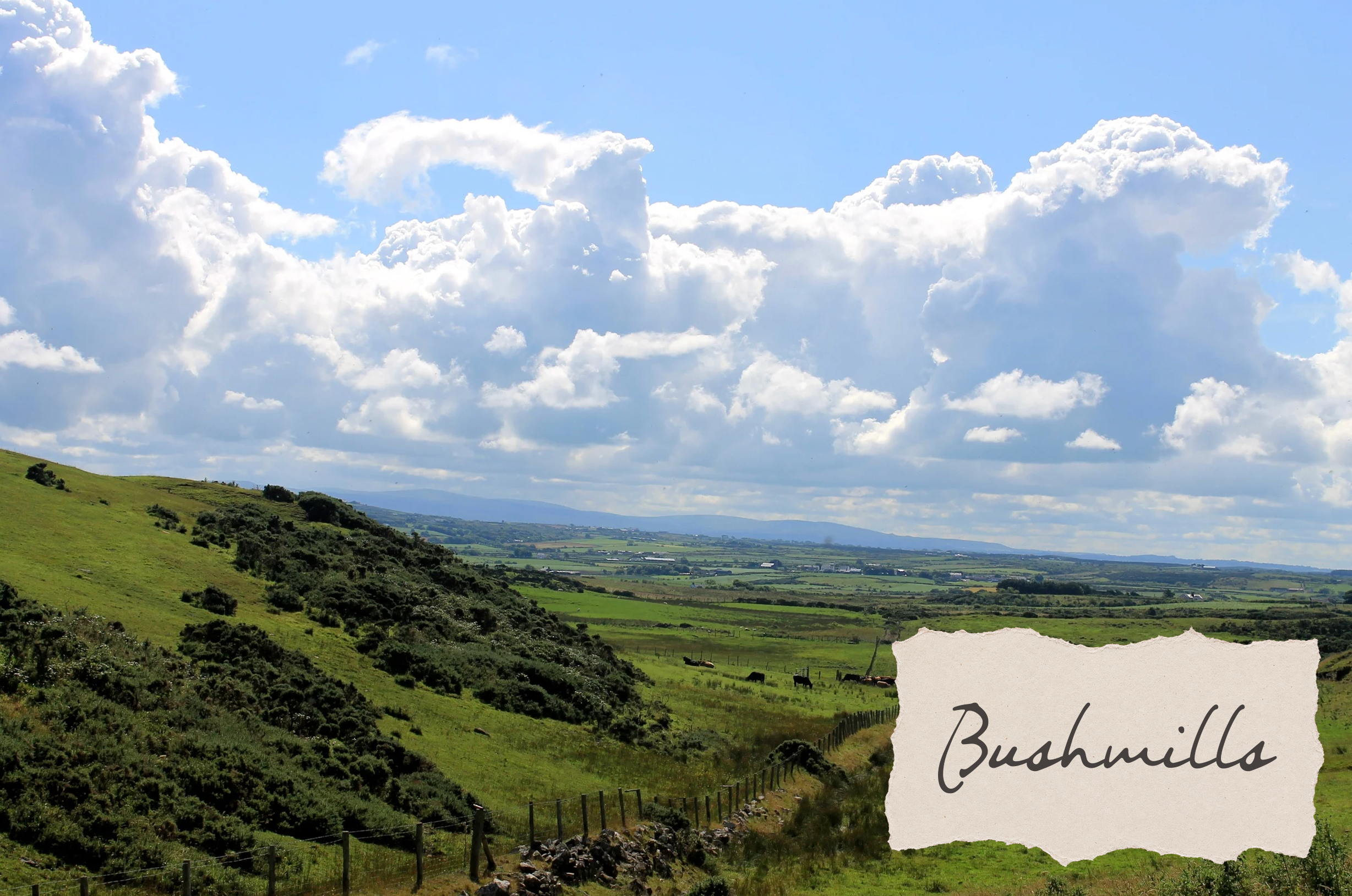 The Bushmills Monsoon