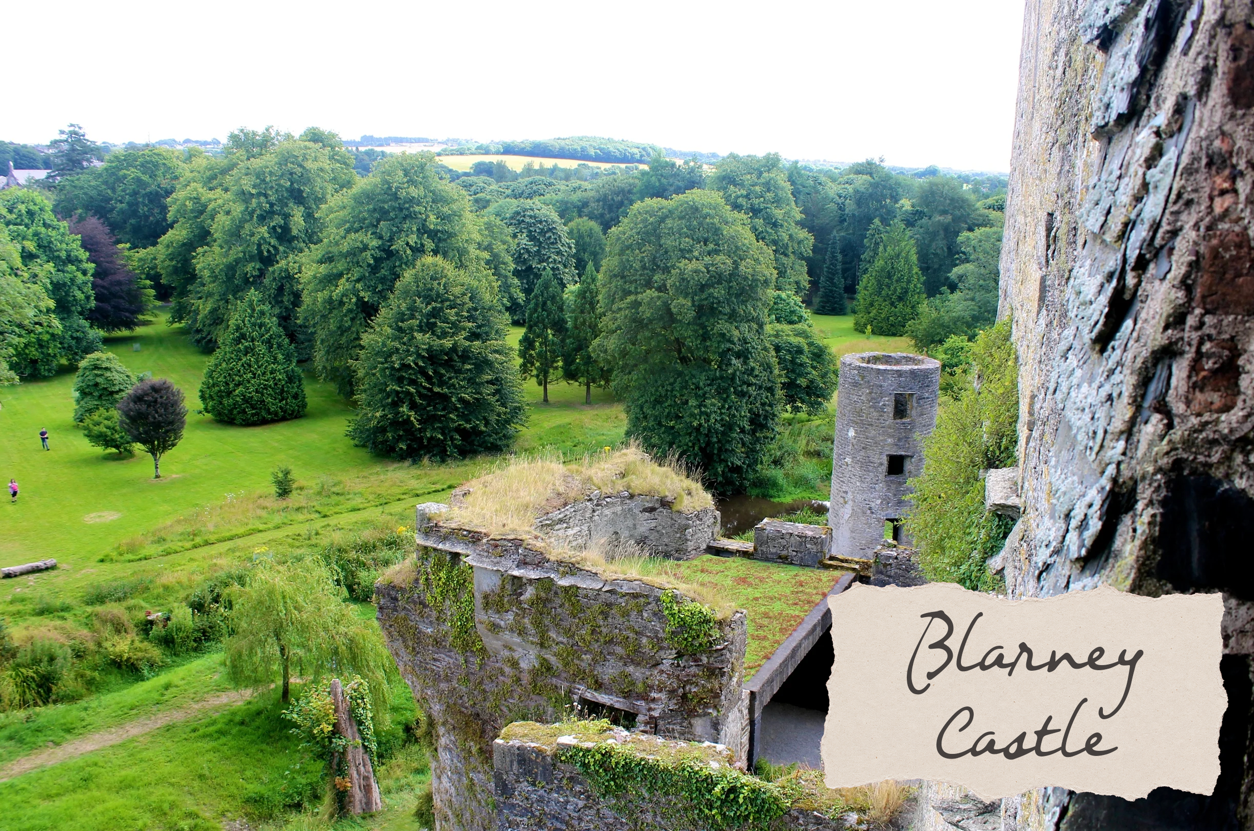 A Capricious Trip to Cork