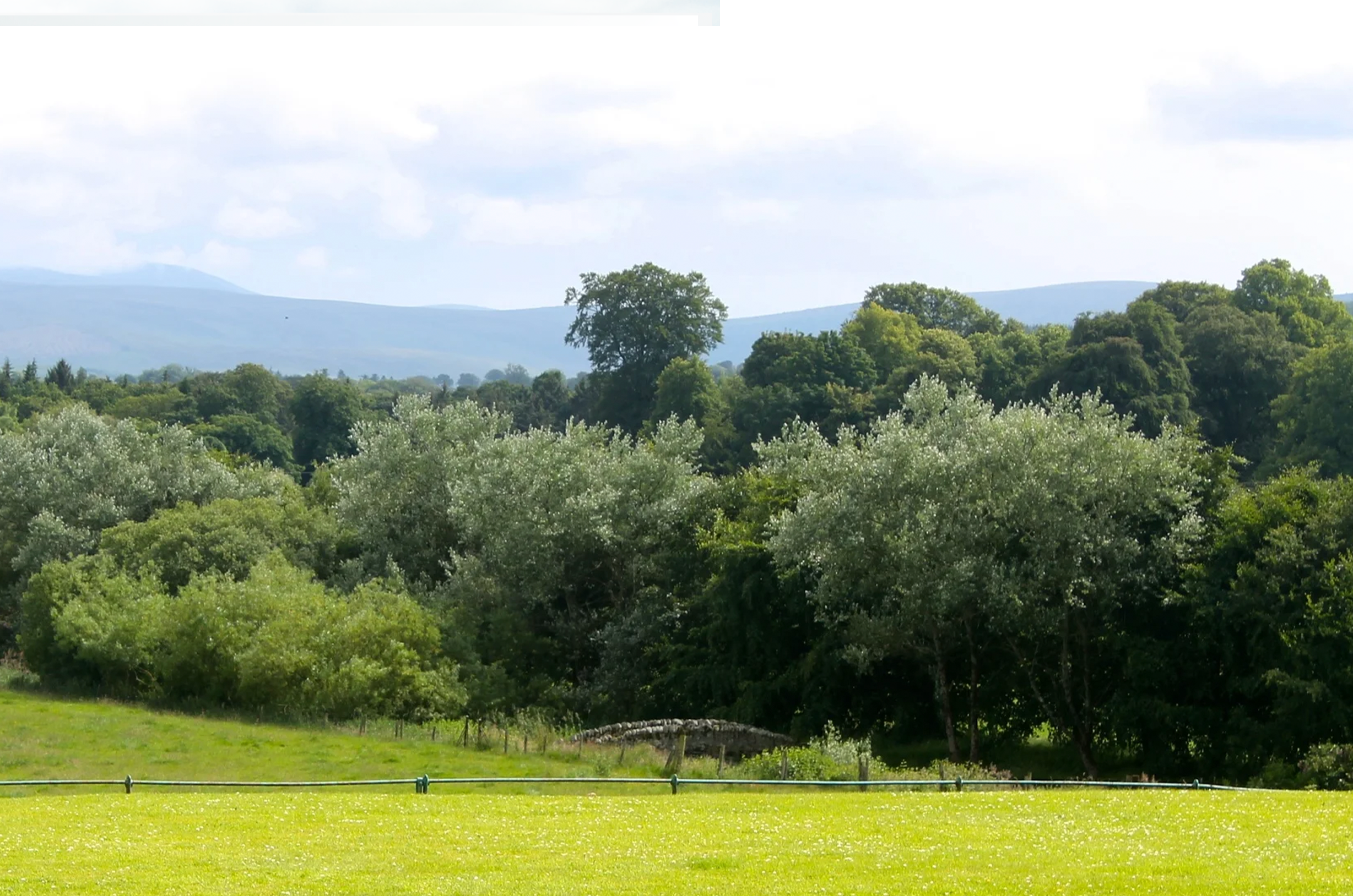 The Russborough House & Leetle Sheeps