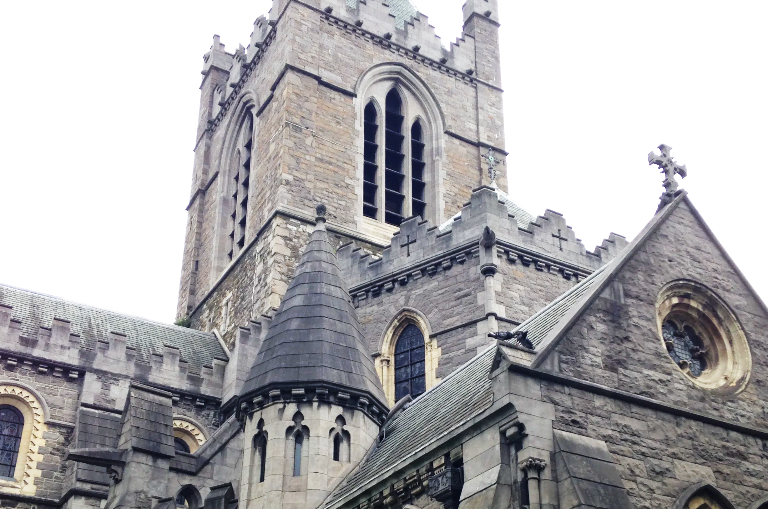 Dublinia Madness and Christchurch Beauty