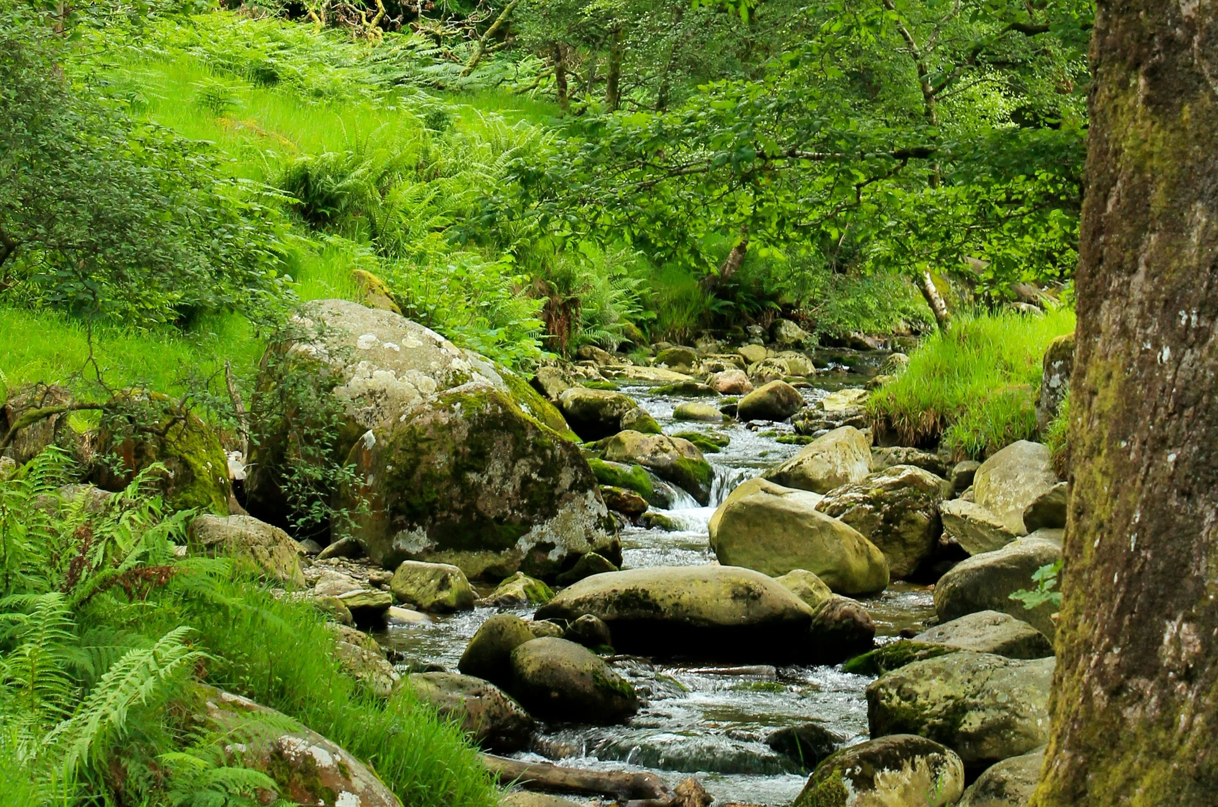 Glendalough