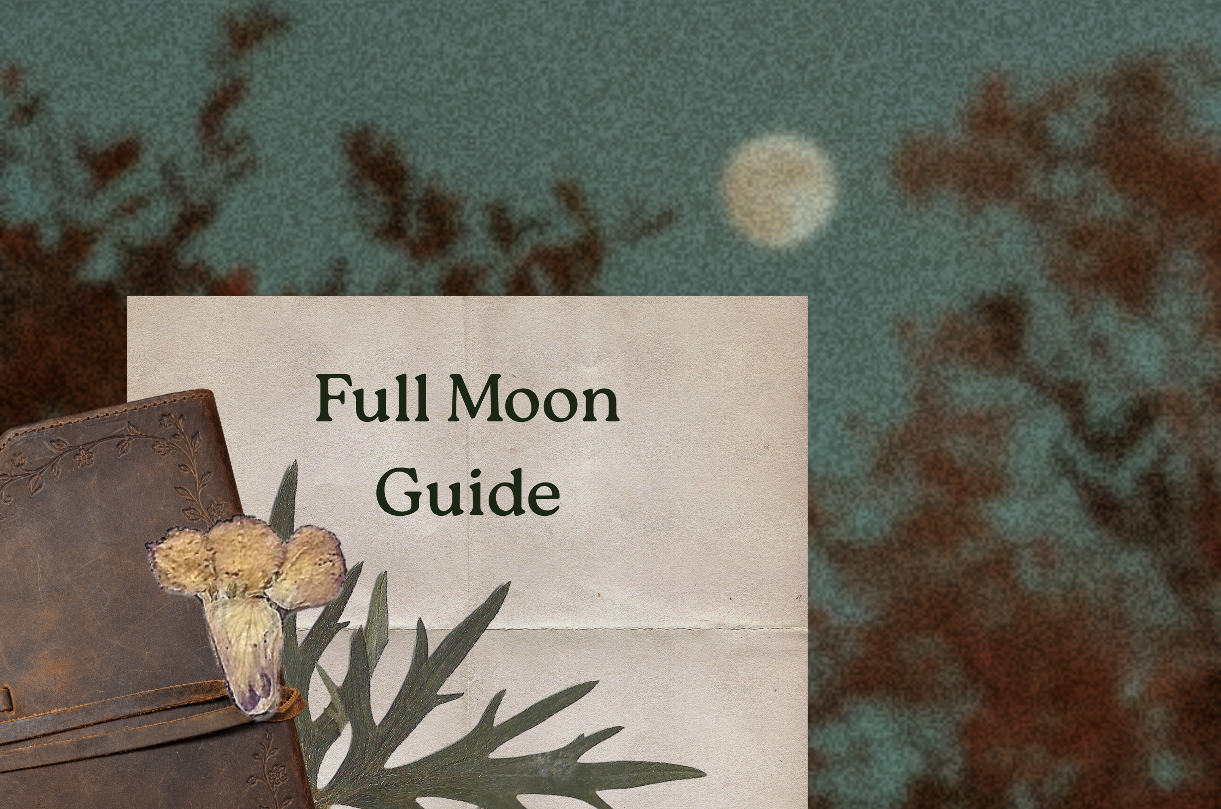 Creating a Monthly Full Moon Reflection Ritual
