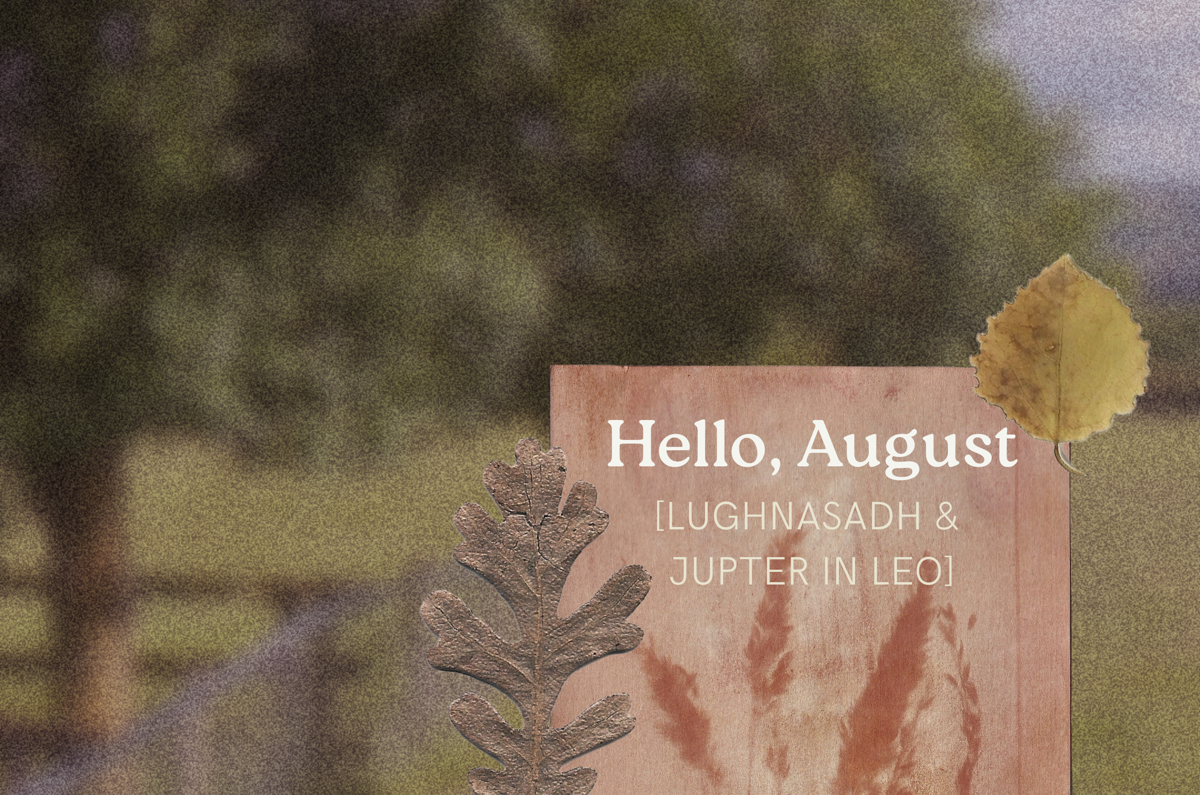 The Luckiest August in 14 years