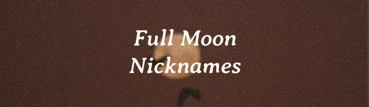 A grainy vintage photo of a full moon with birds flying in the forefront and and orange tone with a text overlay that says "Full Moon Nicknames".