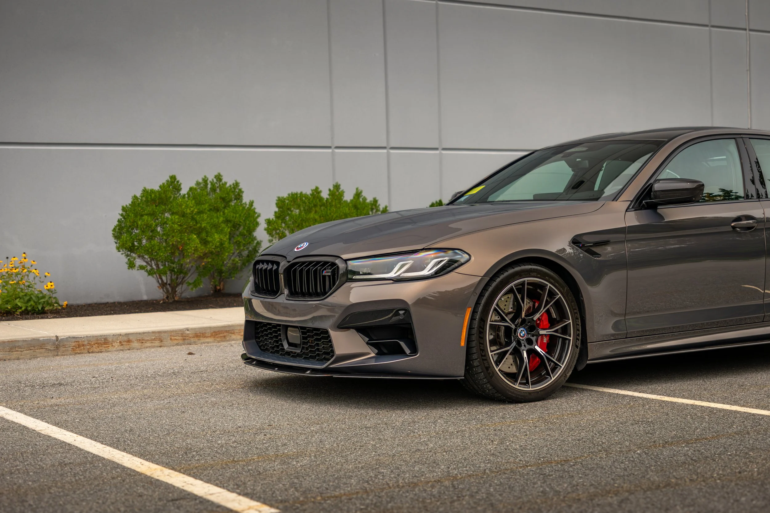 A gray BMW M5 sports sedan parked in an empty parking lot near a gray wall with green bushes and yellow flowers nearby.