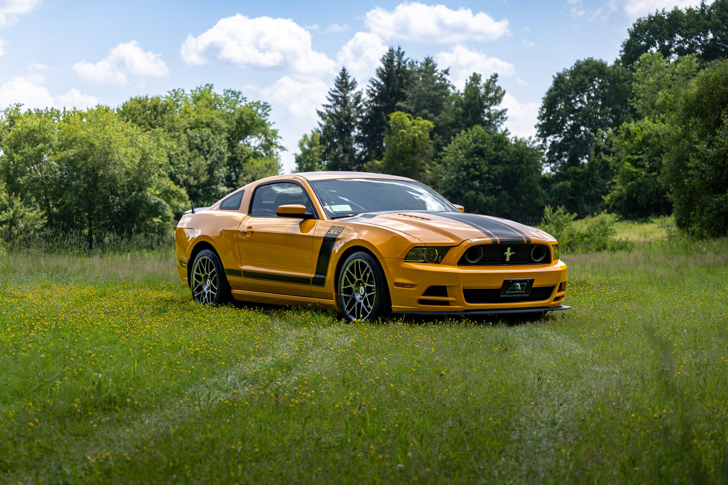A school bus yellow Ford Mustang Boss 302 with black racing stripes parked on a grassy field with yellow flowers, surrounded by green trees under a partly cloudy sky.