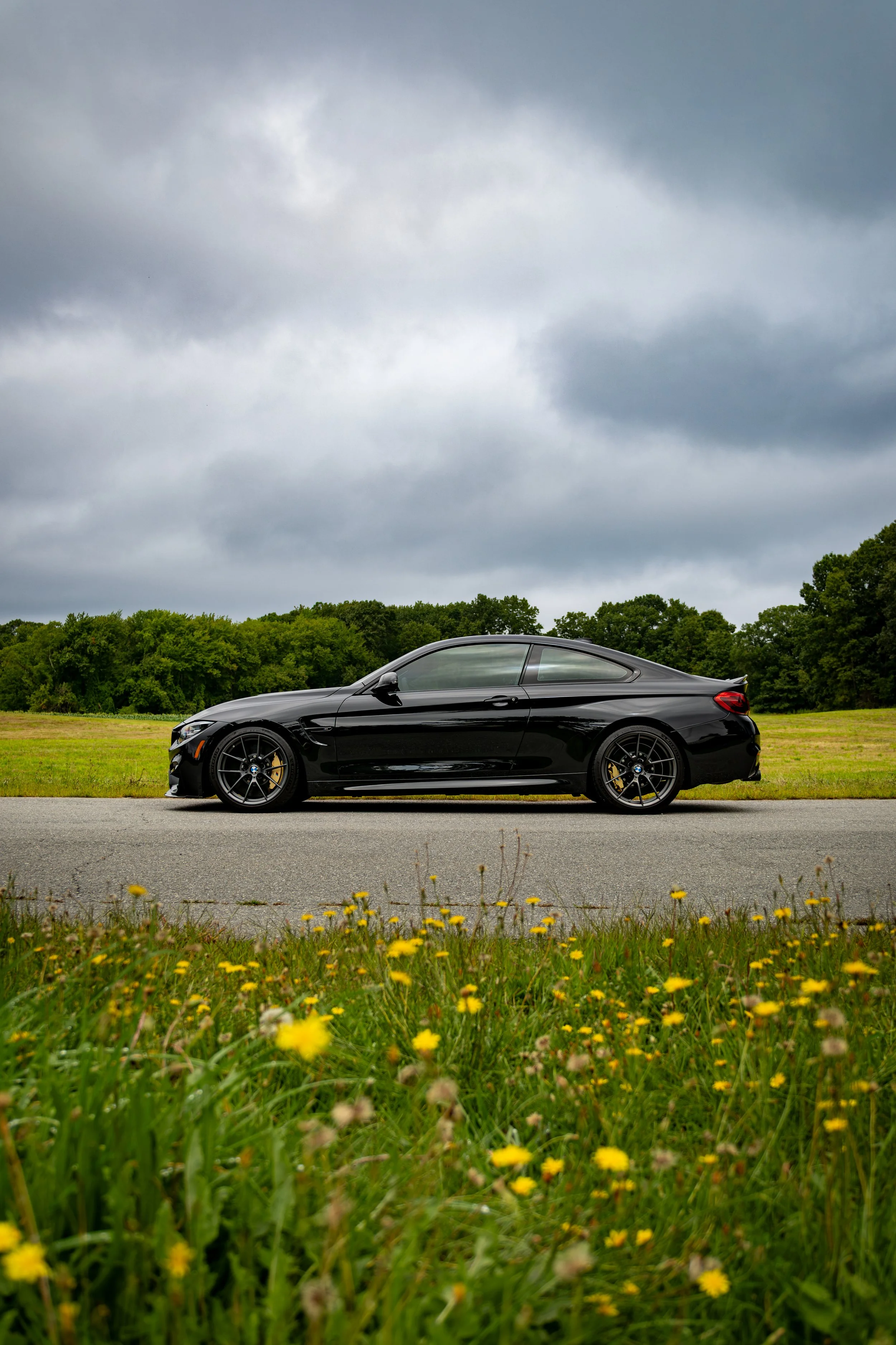 Black, 2019 BMW M4 CS parked on a road in a in a field on a cloudy day. Yellow flowers are in the foreground of the field with yellowish green grass behind the vehicle.