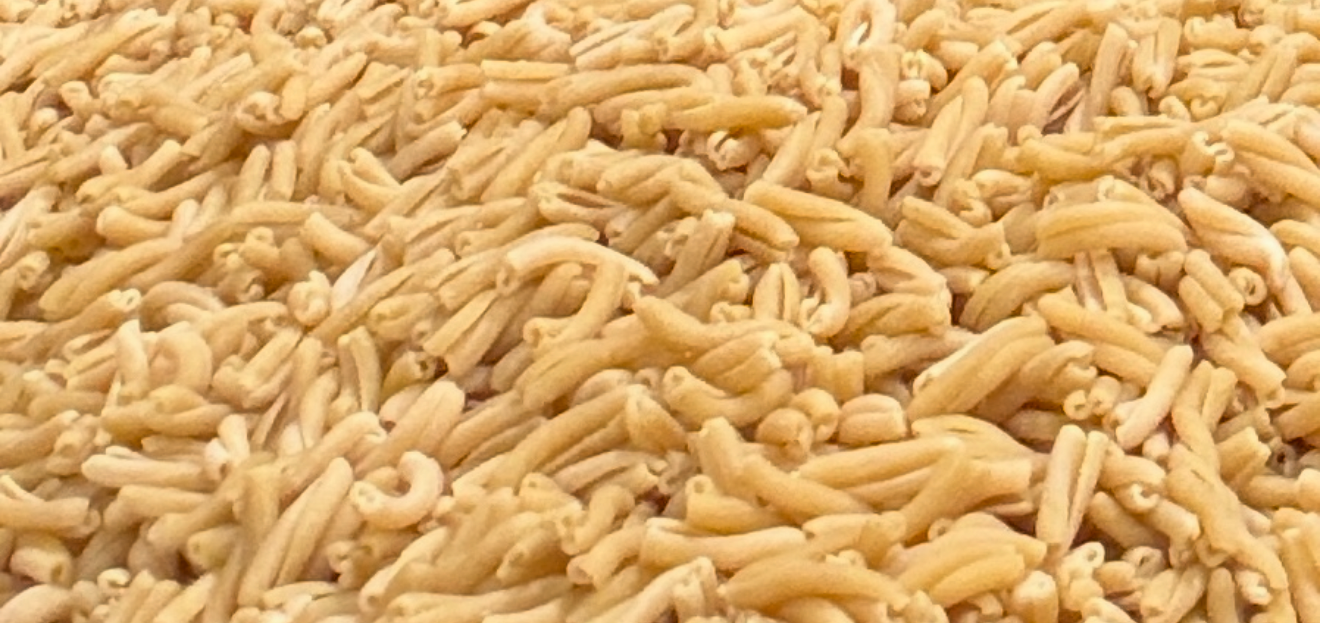 CASARECCE