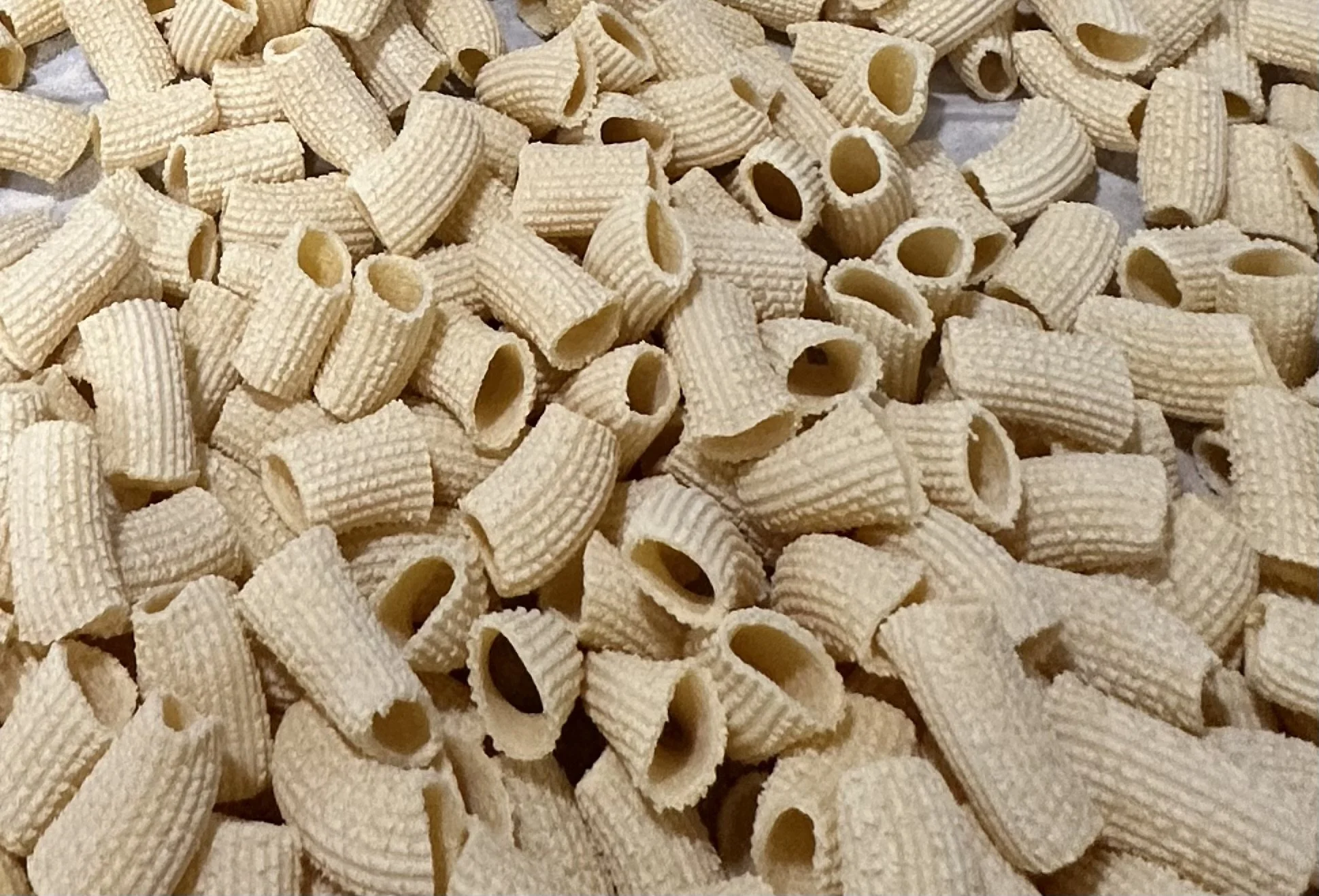Large Rigatoni