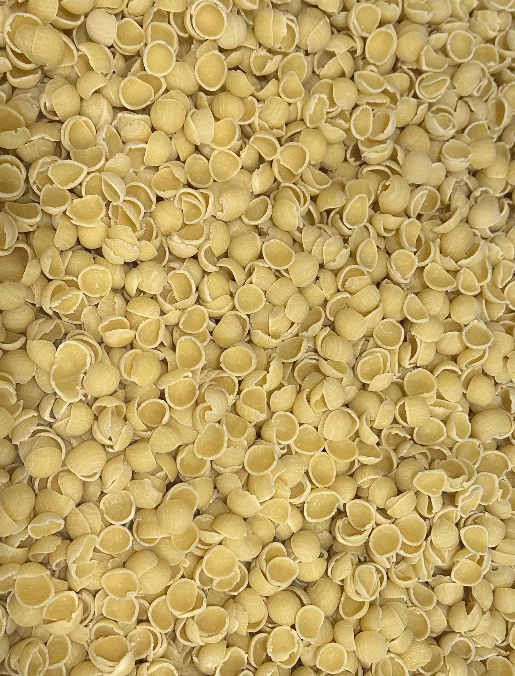 ORECCHIETTE