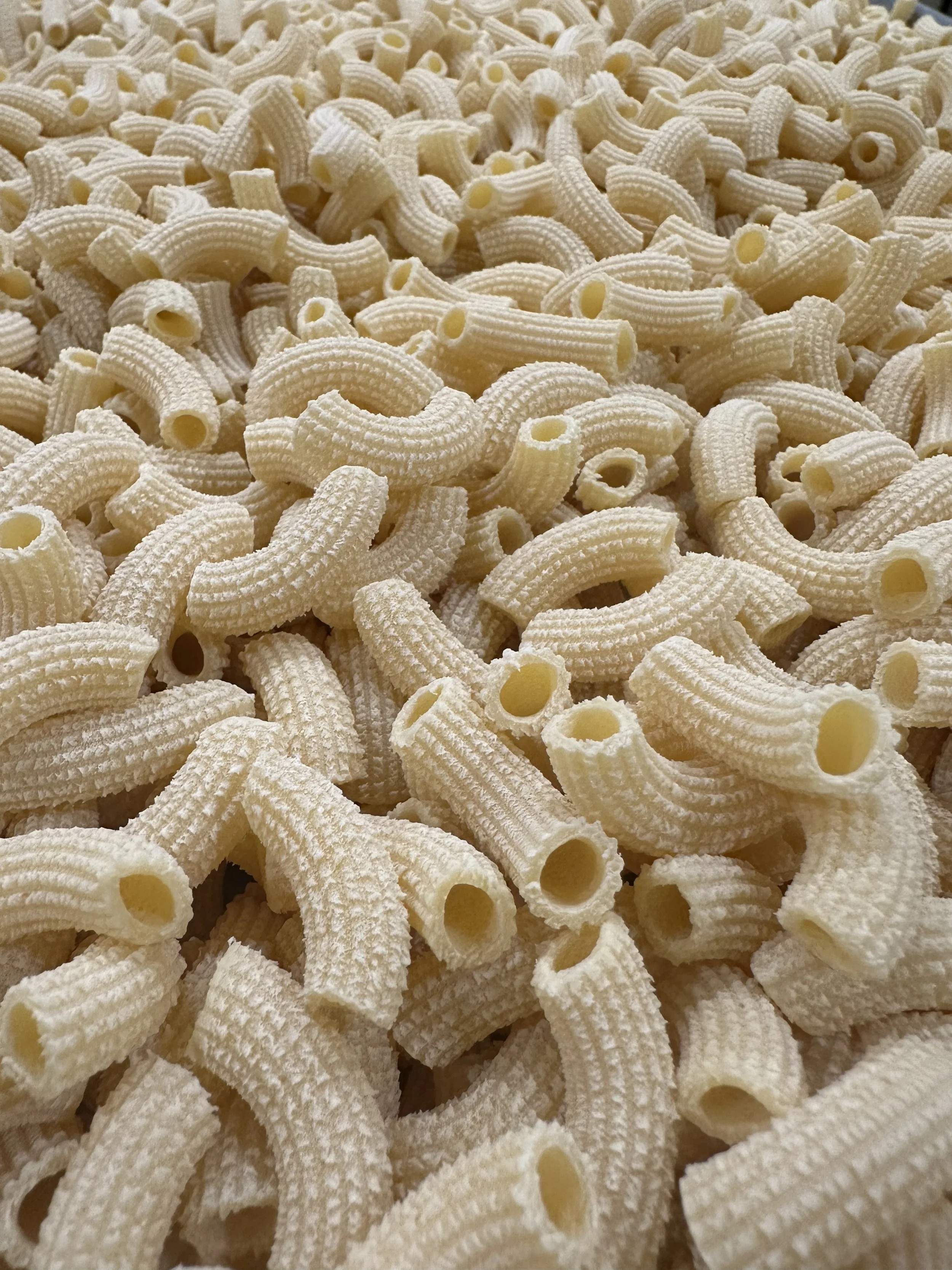 SMALL RIGATONI