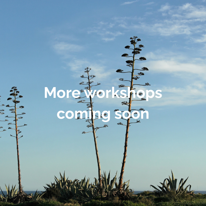 More Workshops Coming Soon