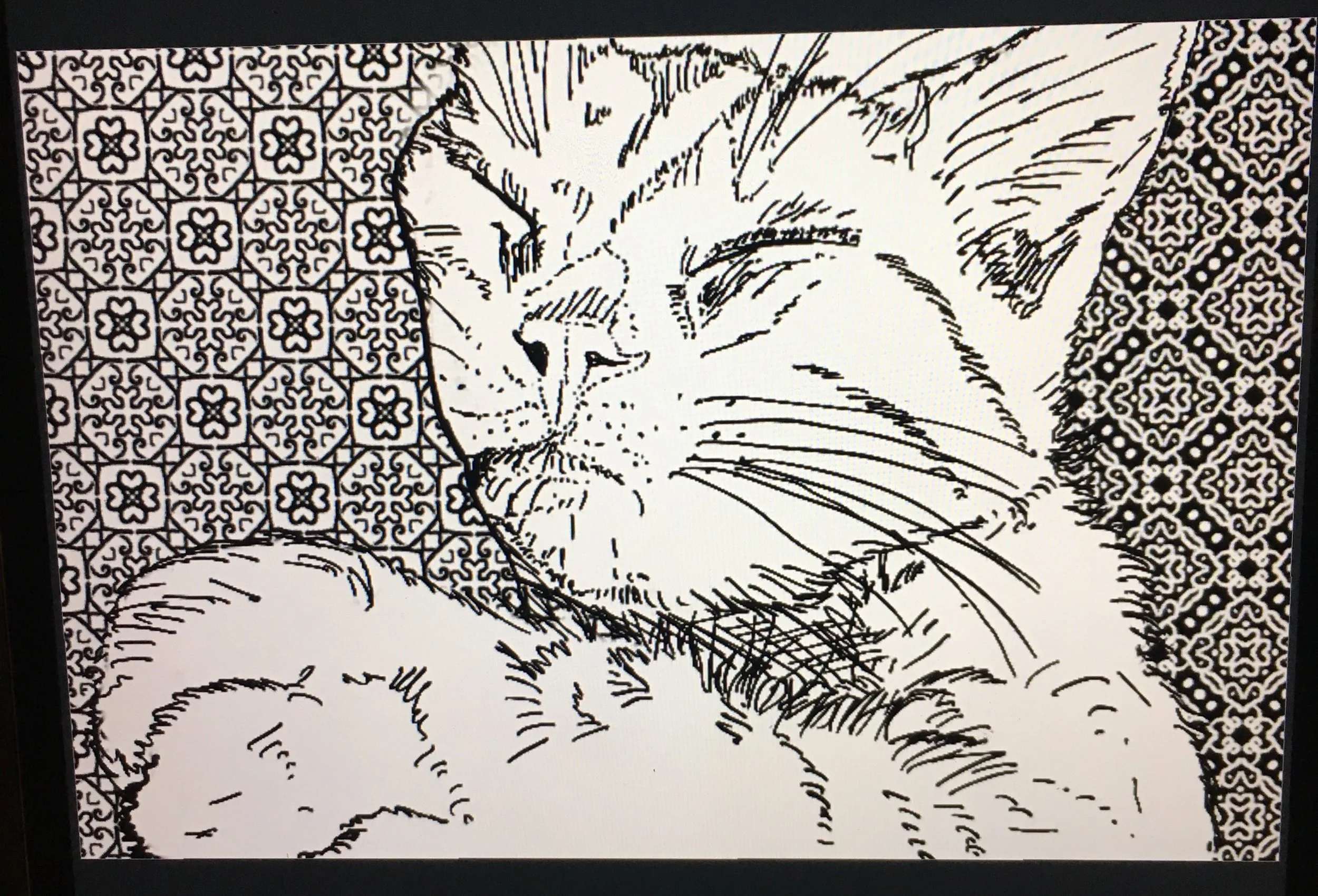 Black and white line drawing of a cat resting its head on a surface, with intricate patterned backgrounds on both sides.