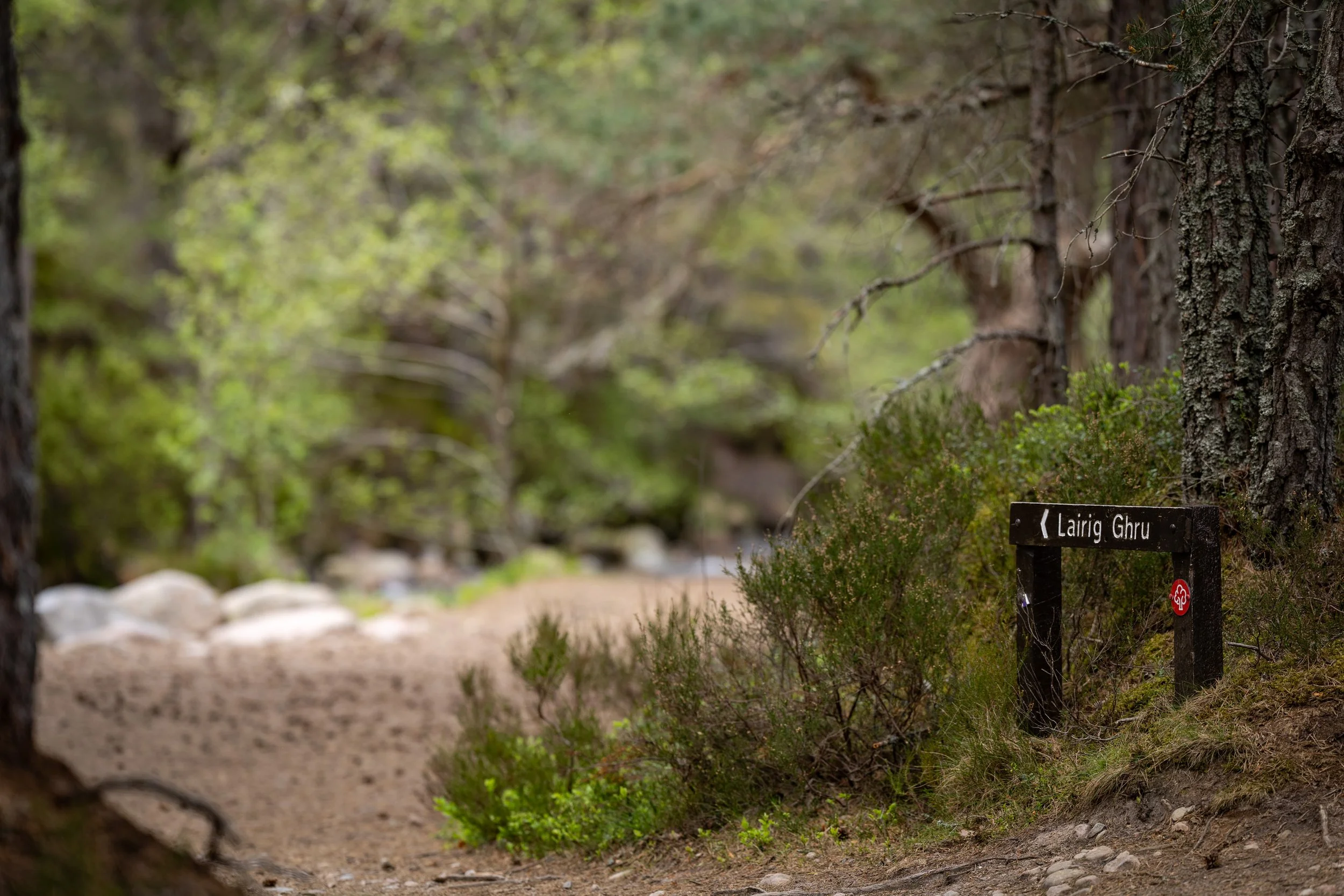 A Lairig Ghru sign tucked beside the path, with stones, trees and soft Highland woodland around it.
