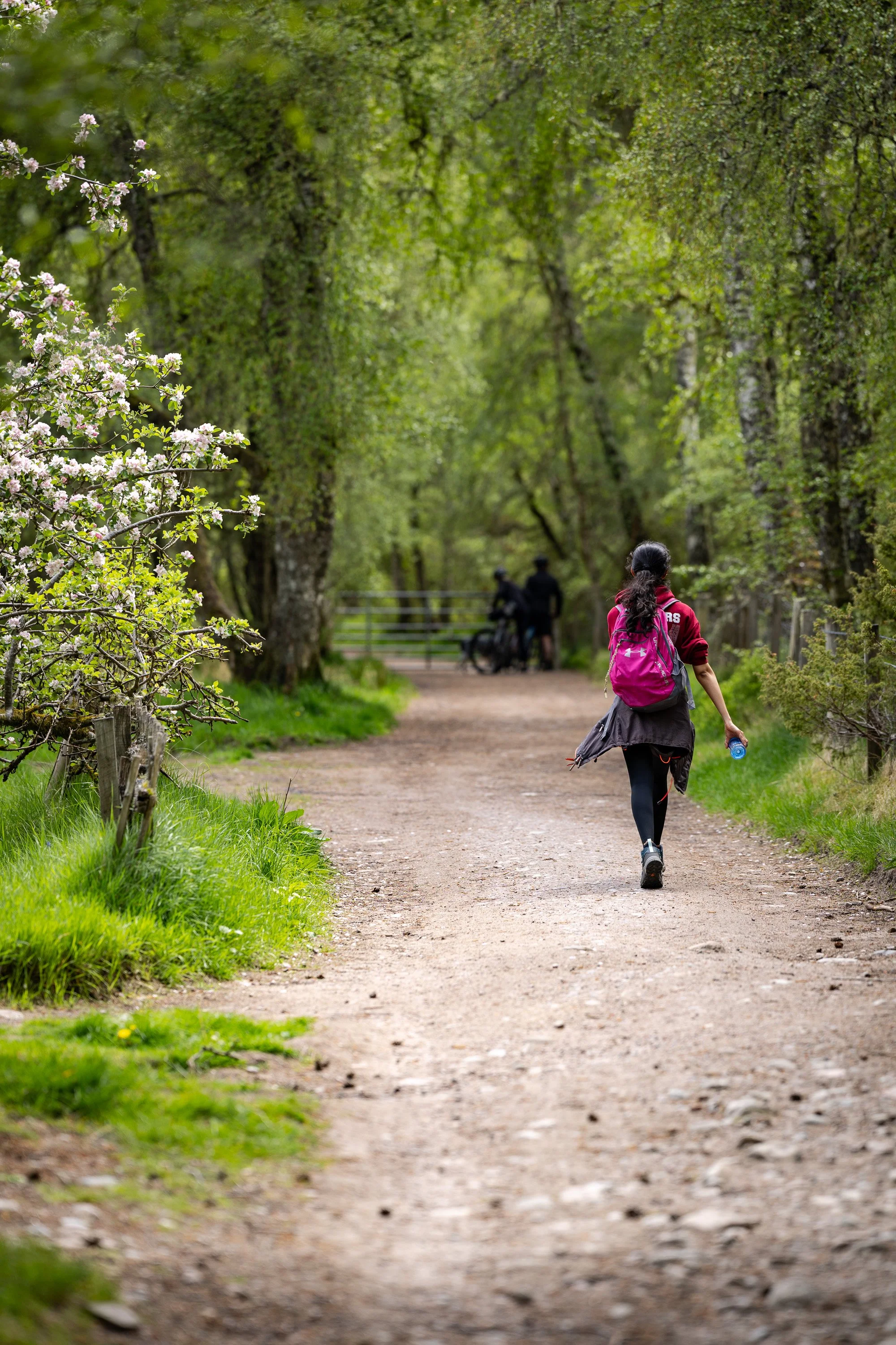 A walker moving along the quiet woodland path, with spring blossom, soft light and people gathered in the distance.