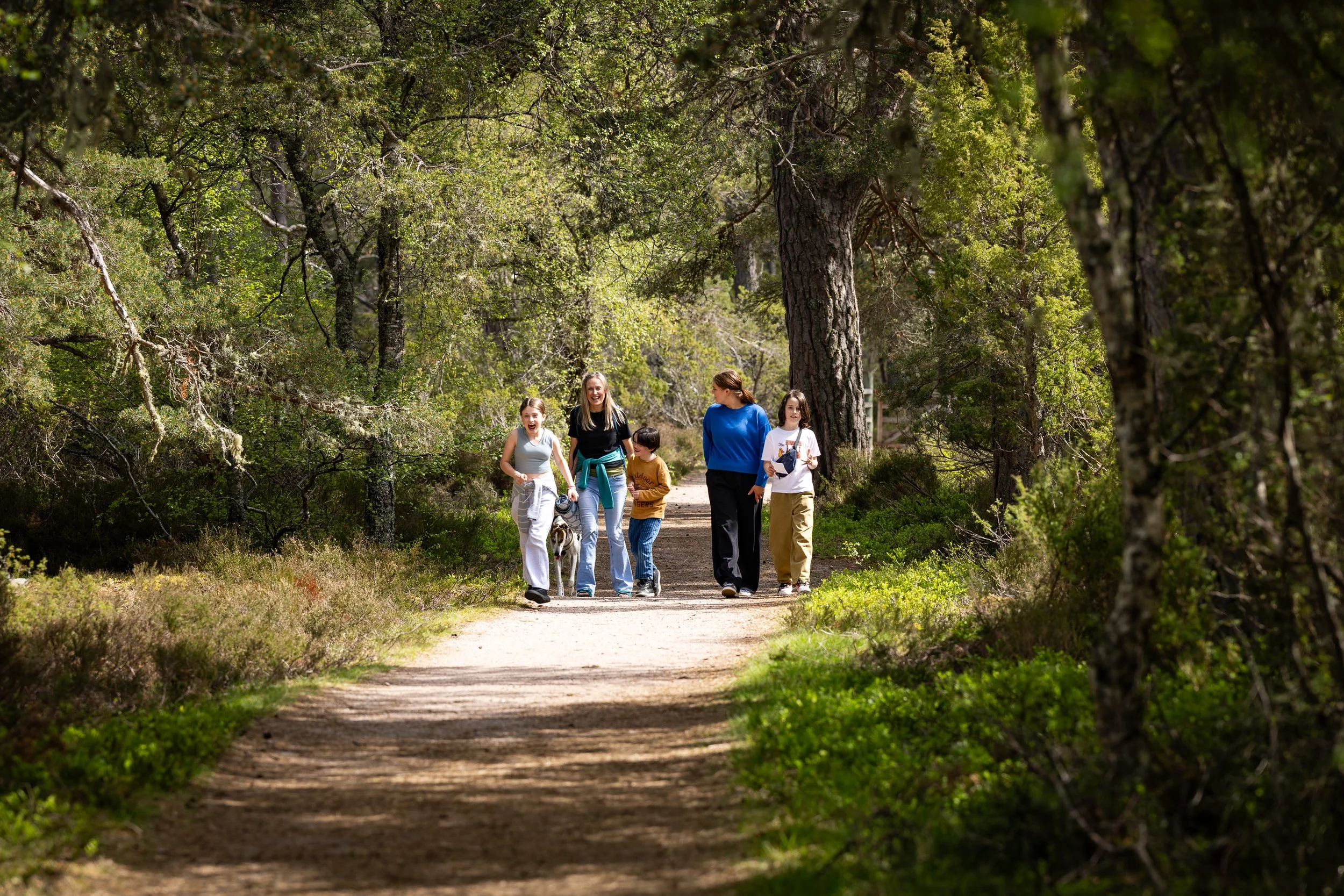 A family walking through the forest path, with a dog and spring woodland around them.