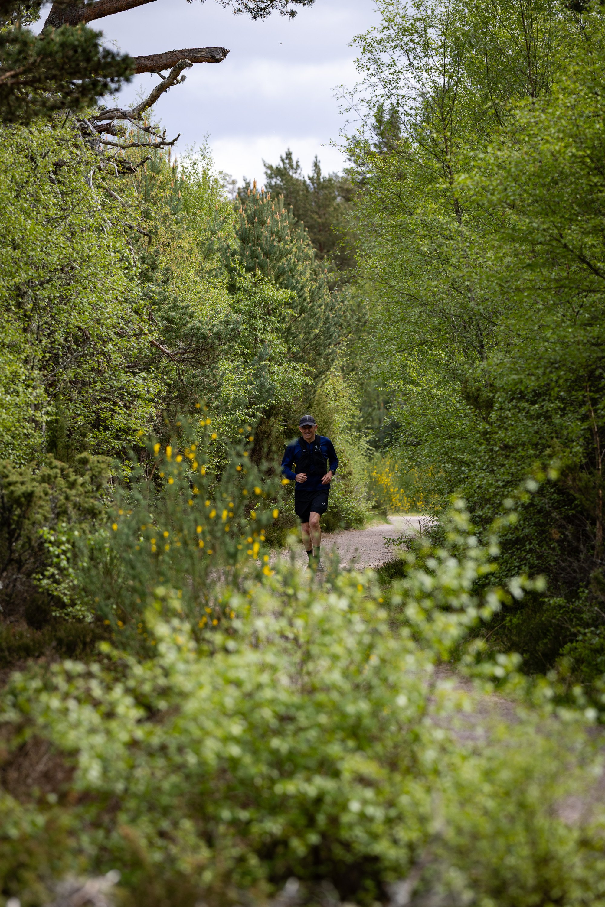 A runner moving through the woodland path, surrounded by fresh spring growth.