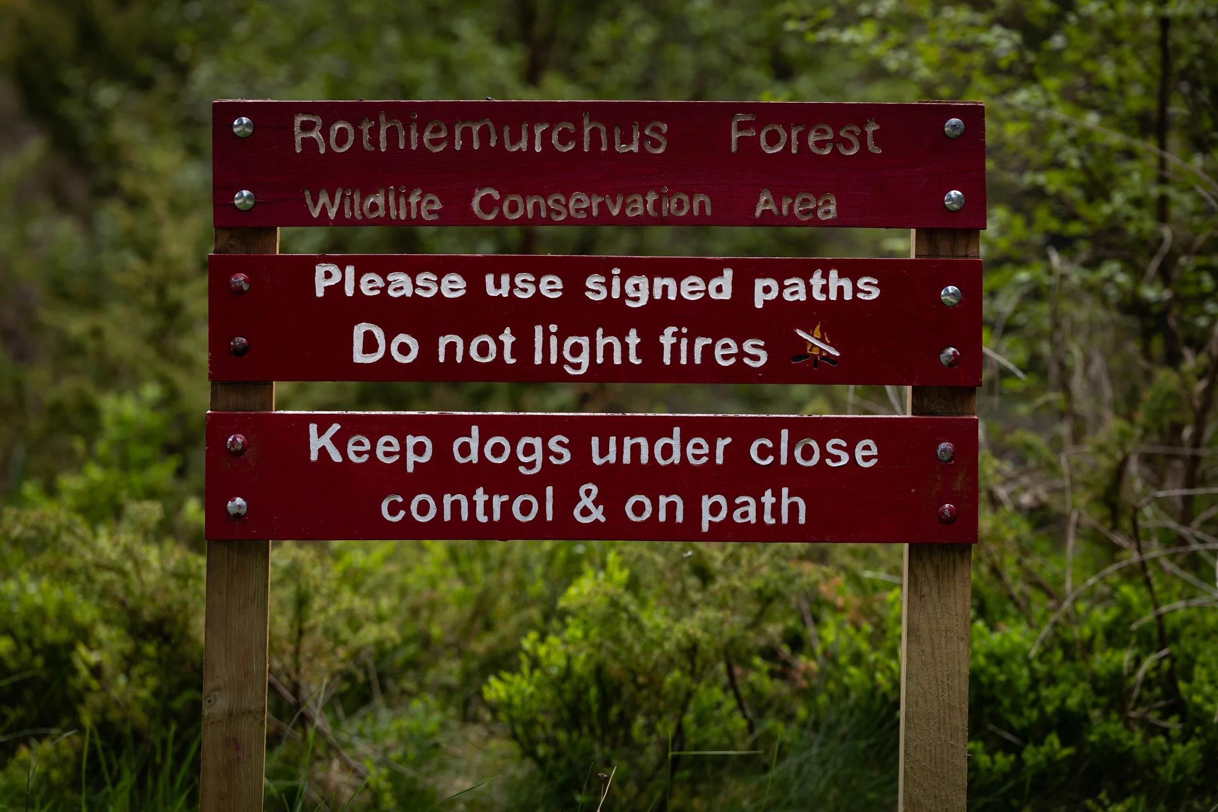 A Rothiemurchus Forest sign reminding visitors to use signed paths, avoid fires and keep dogs under close control.