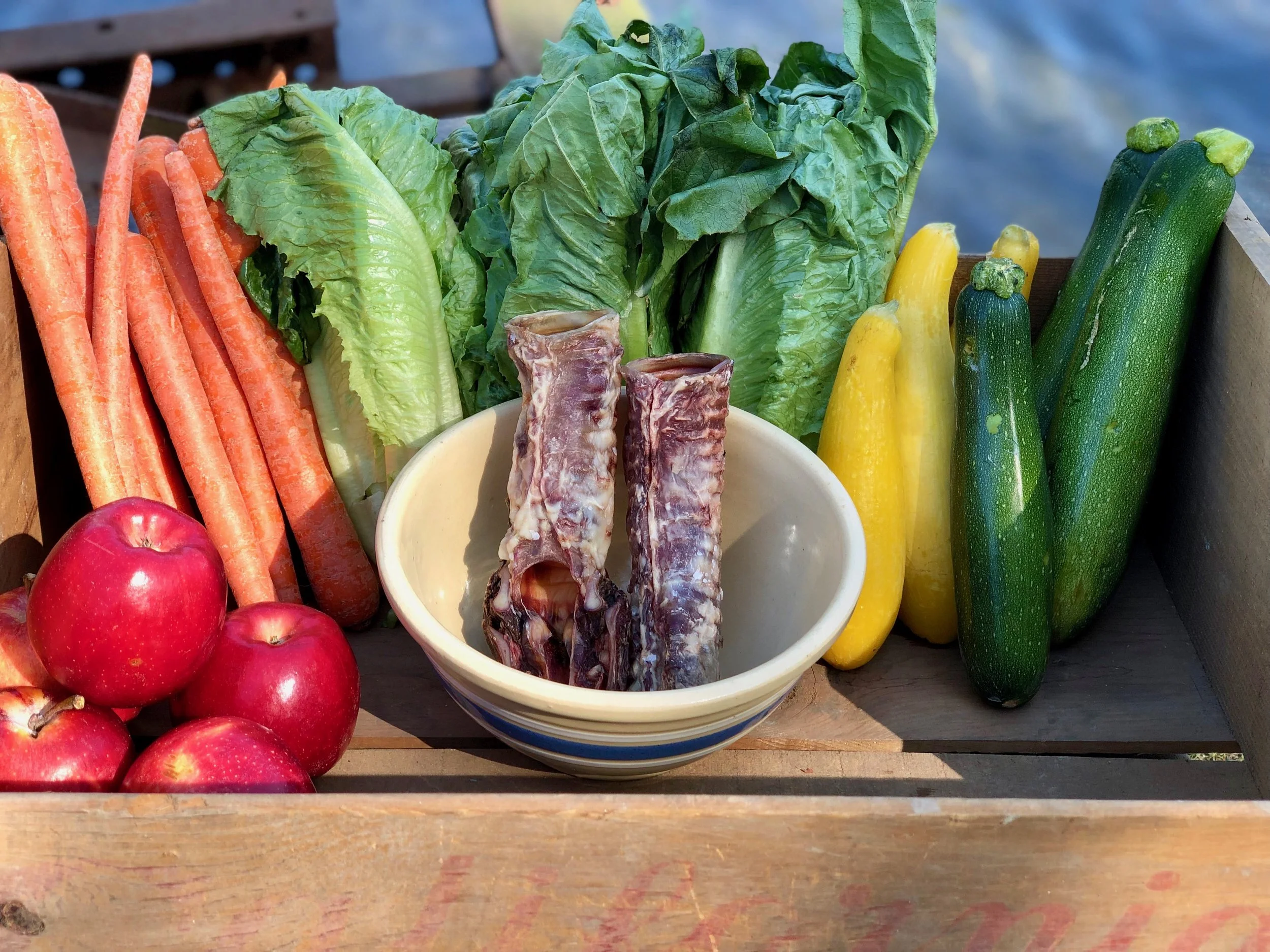 Beef Trachea