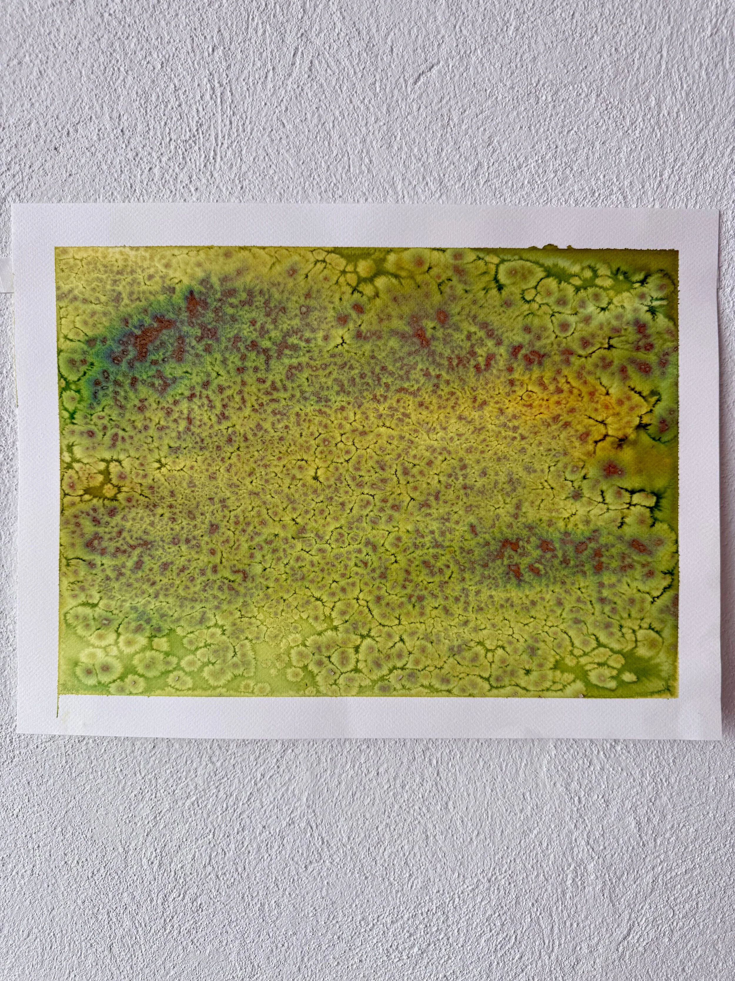 Study for Limon II