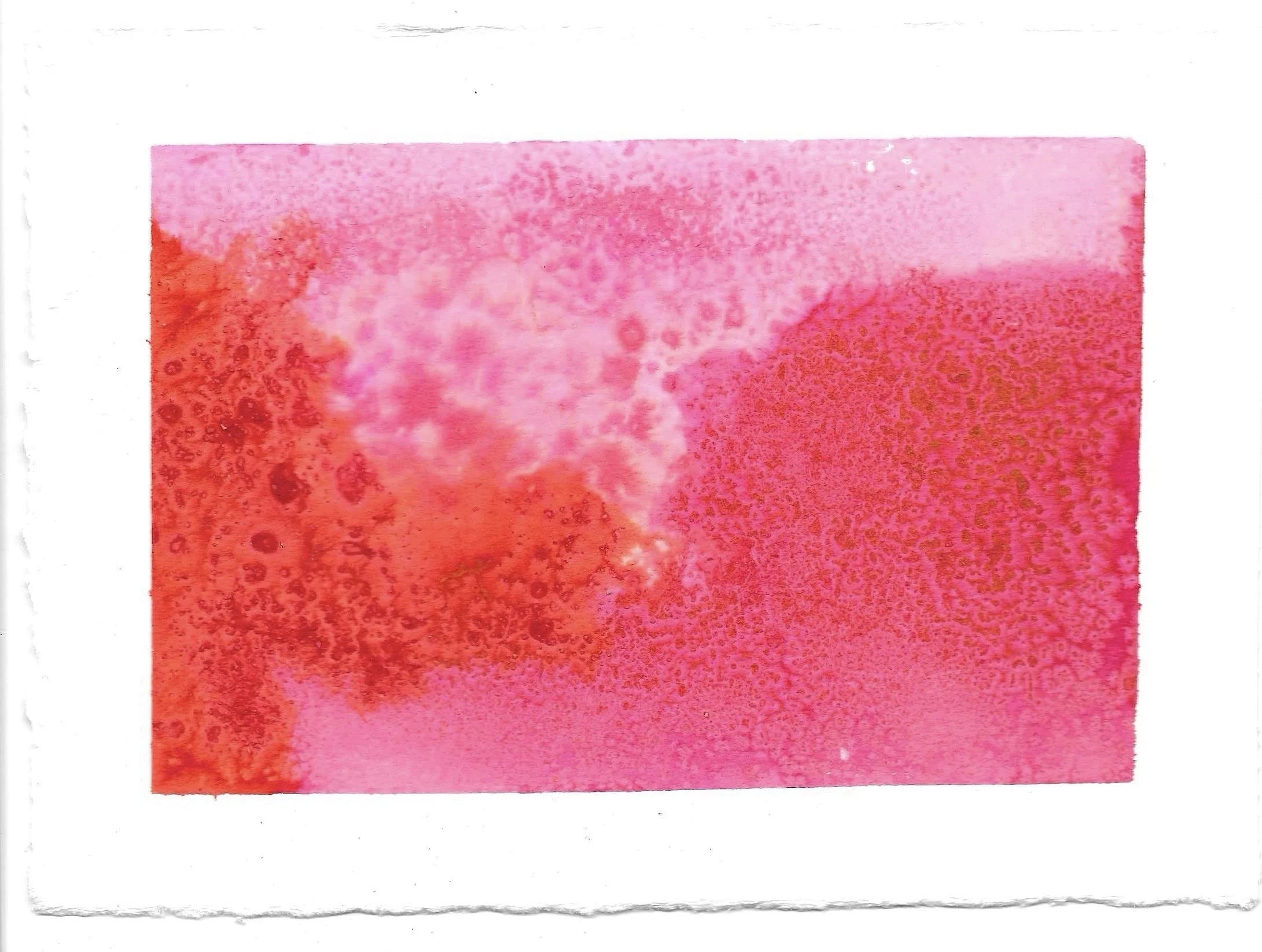 Magenta #4