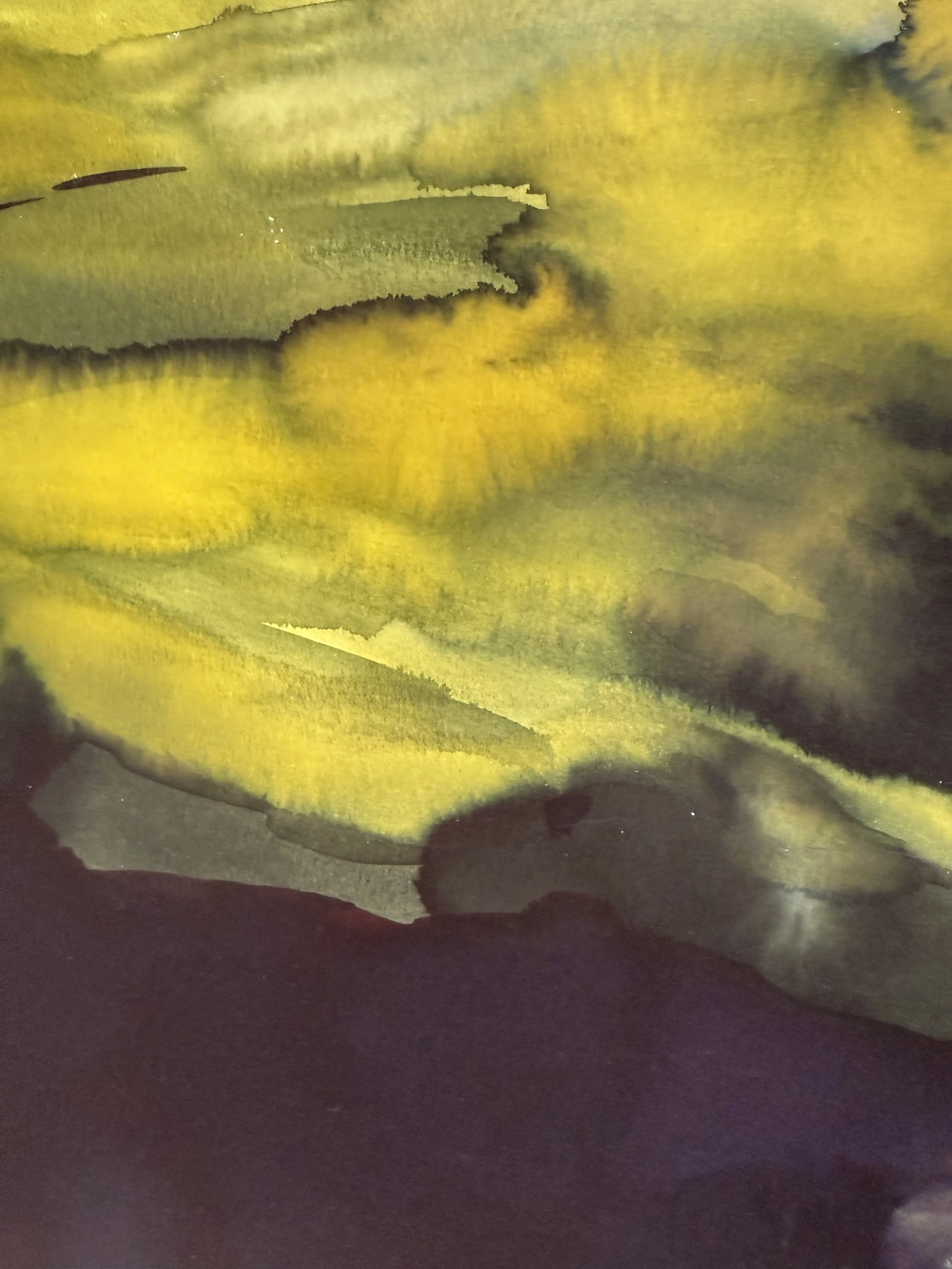 Uncertain Territory Close Up 2.jpg