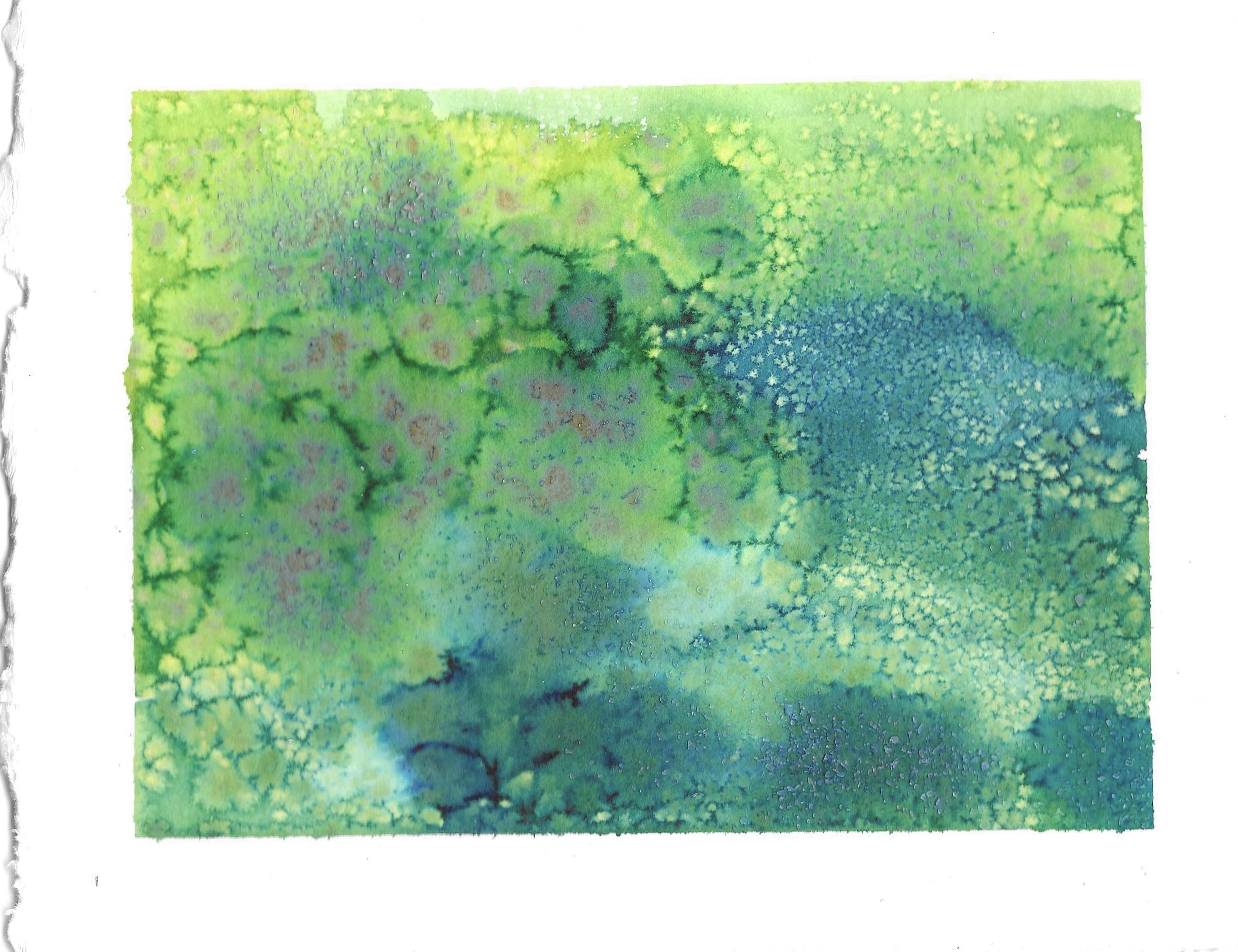 Verde #5