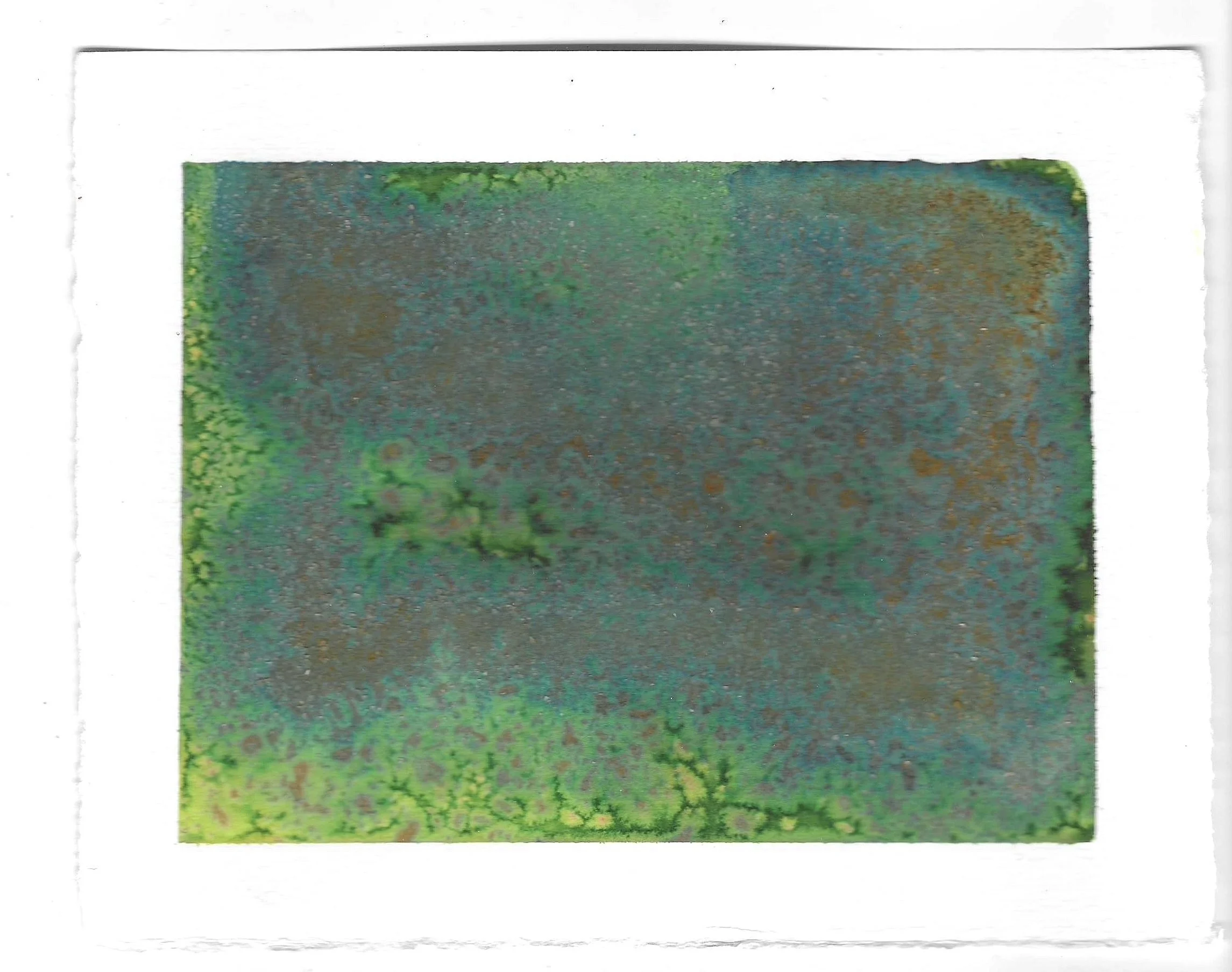Verde #2