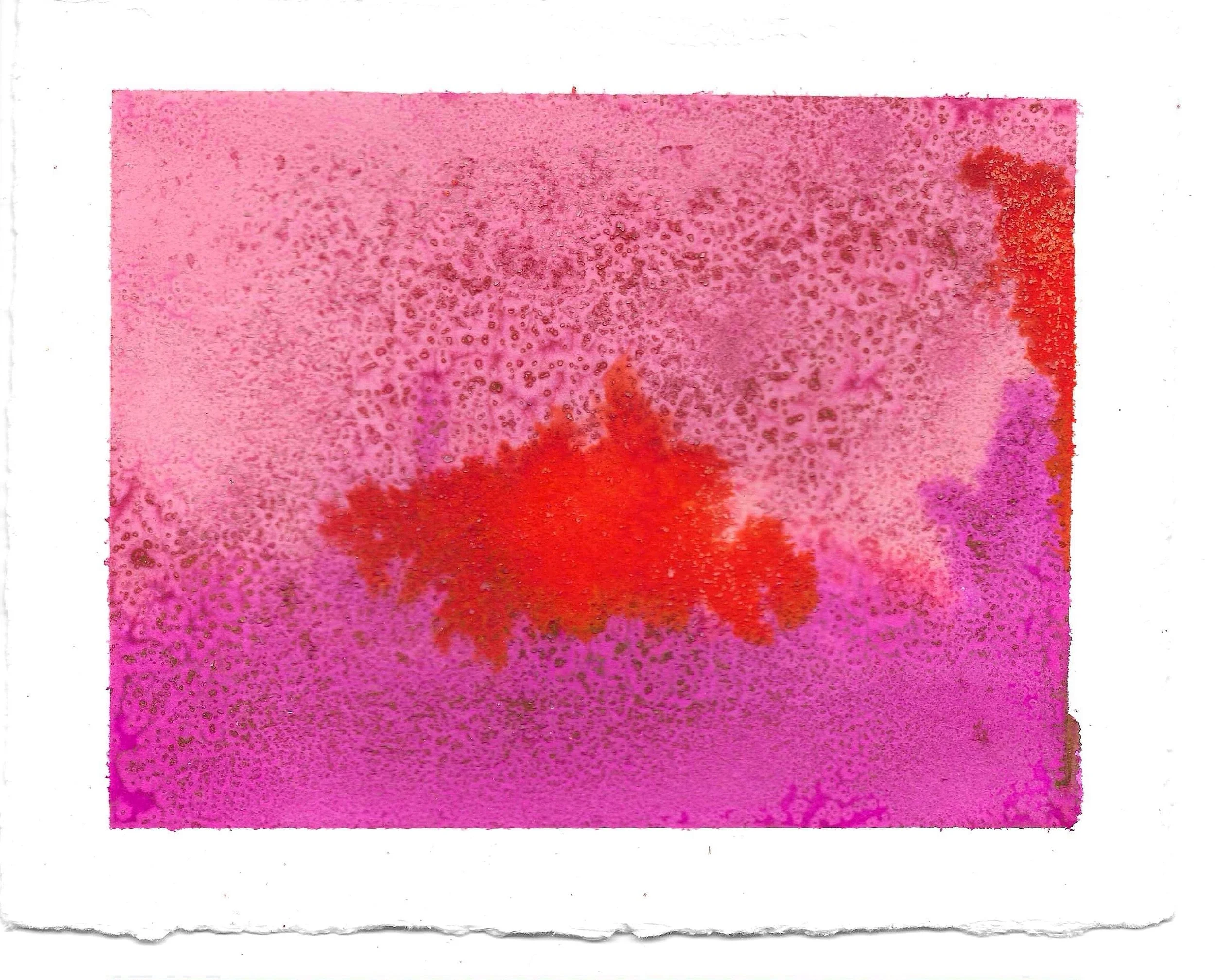 Magenta #1