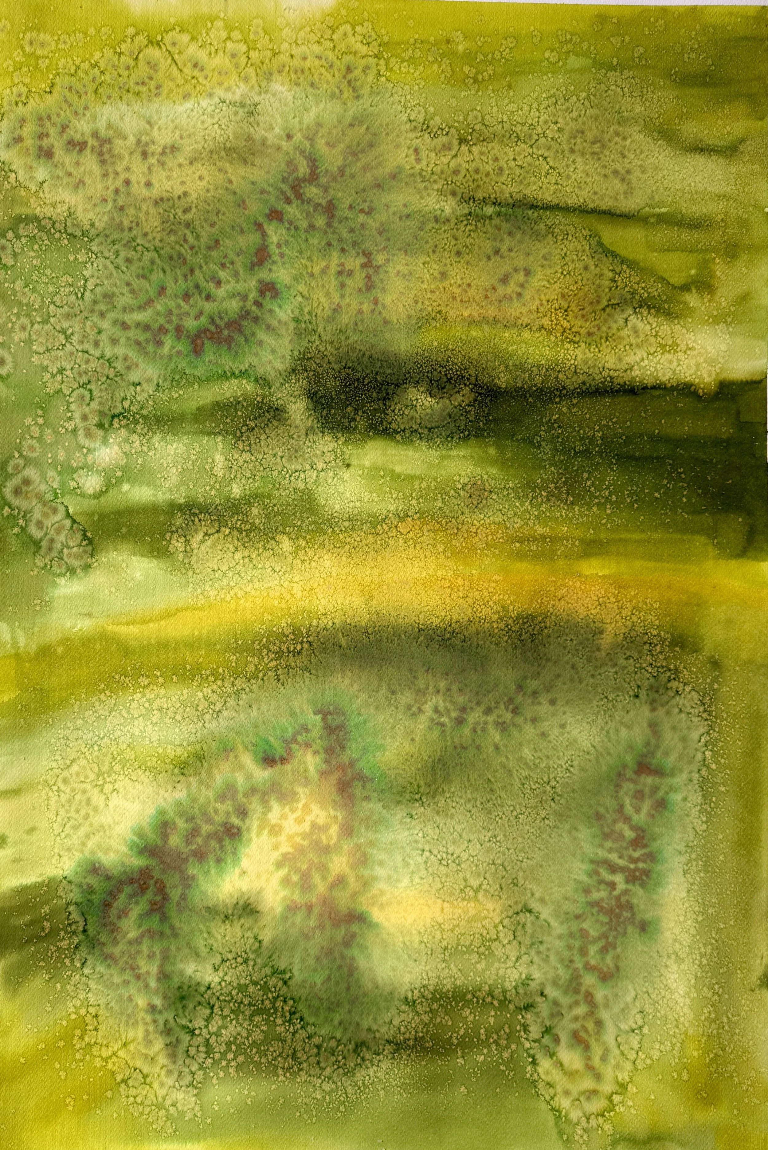 Study for Limon I