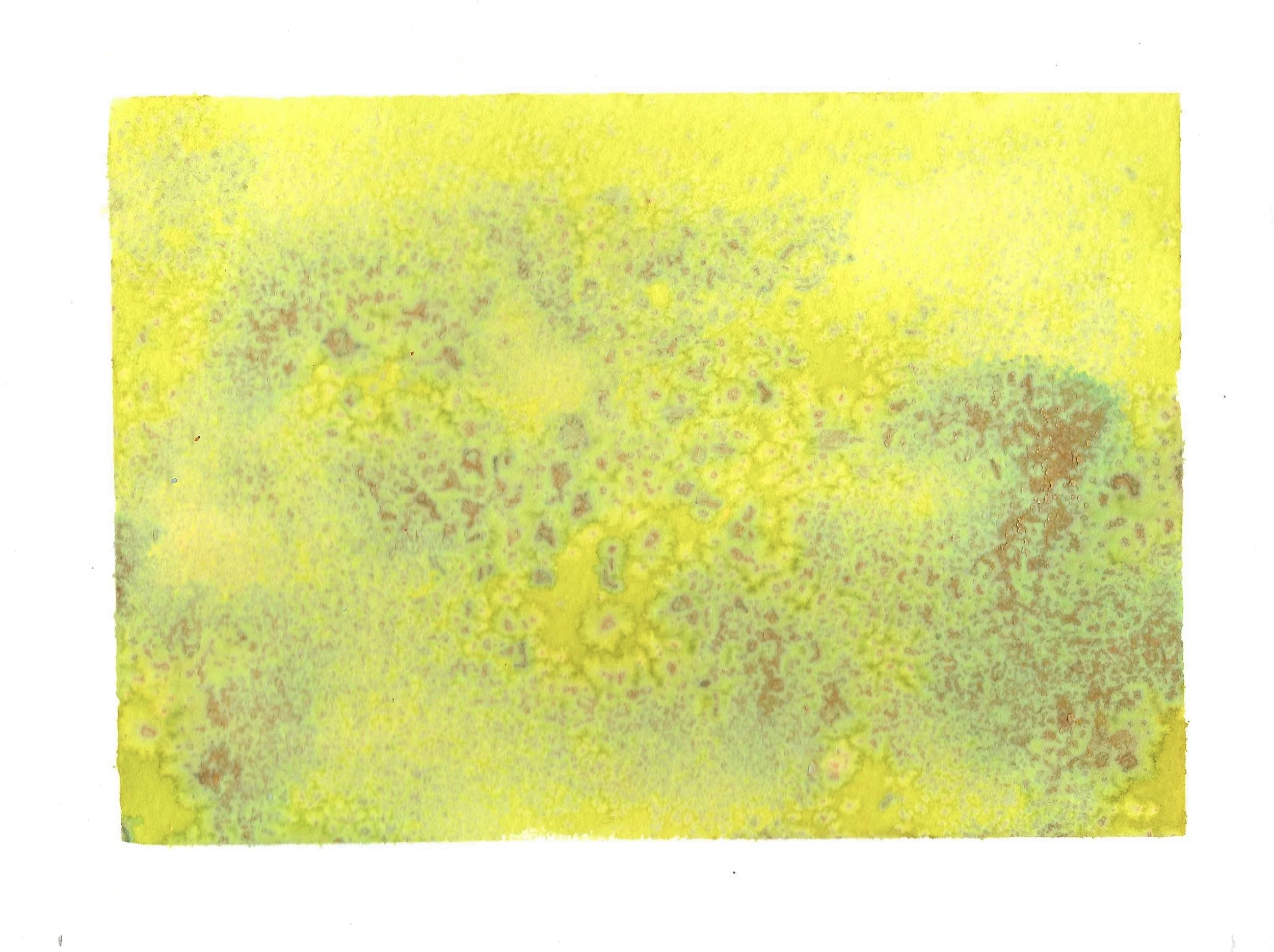 Study for Limon III