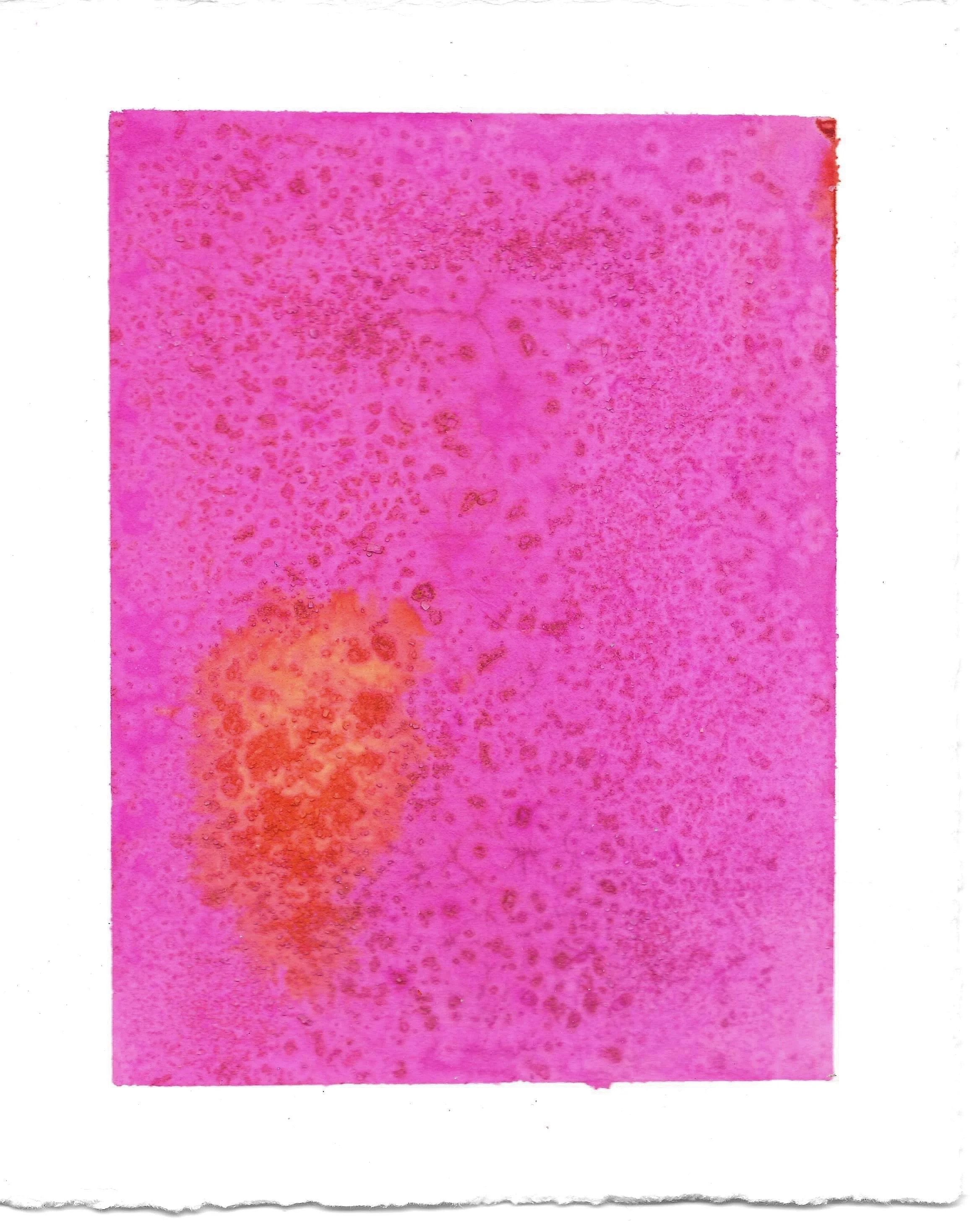 Magenta #3