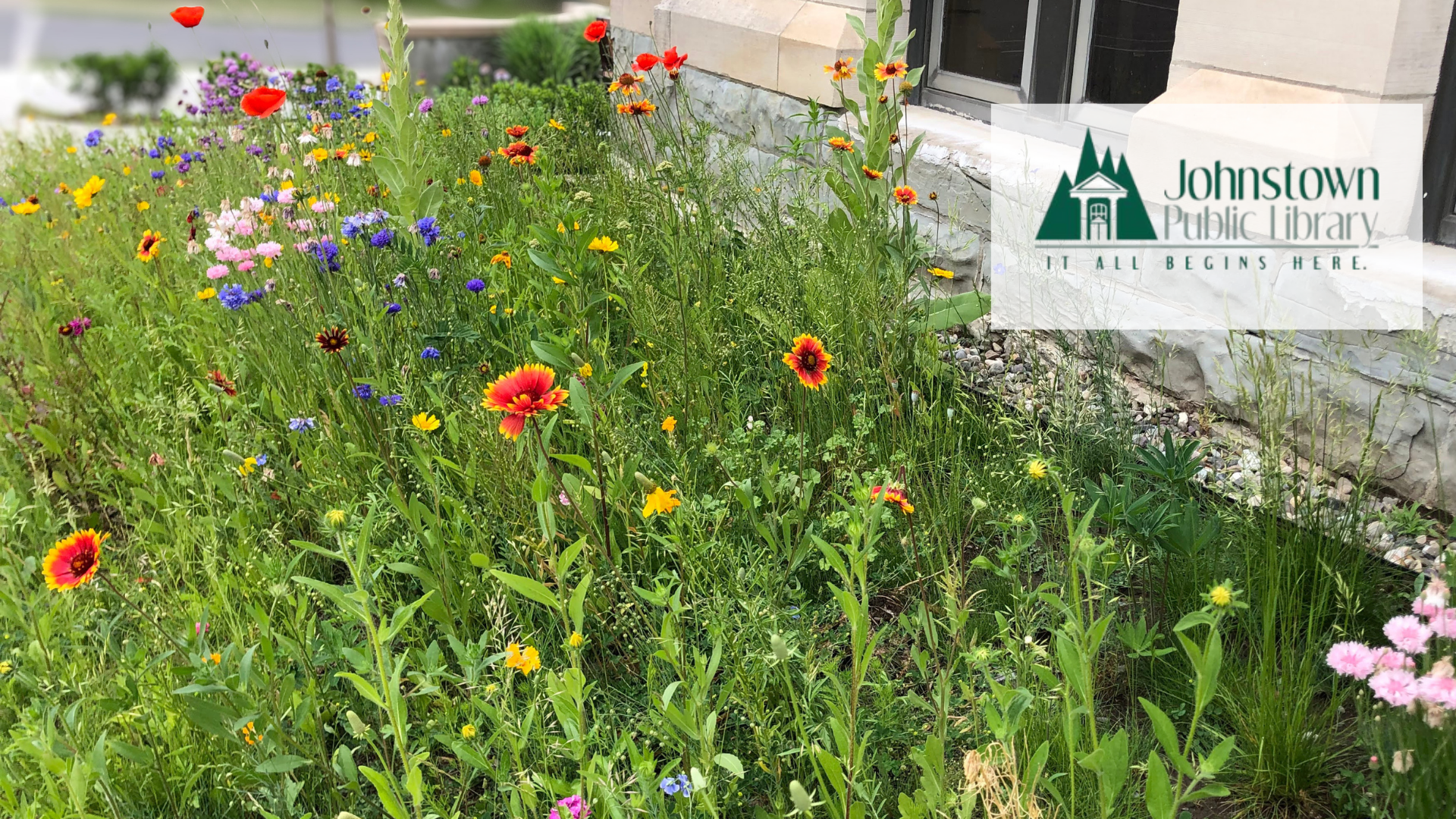 A garden filled with colorful wildflowers including pink, purple, yellow, red, and blue flowers, growing alongside a stone wall near a building with a window. There is a transparent overlay with the logo and text for Johnstown Public Library.