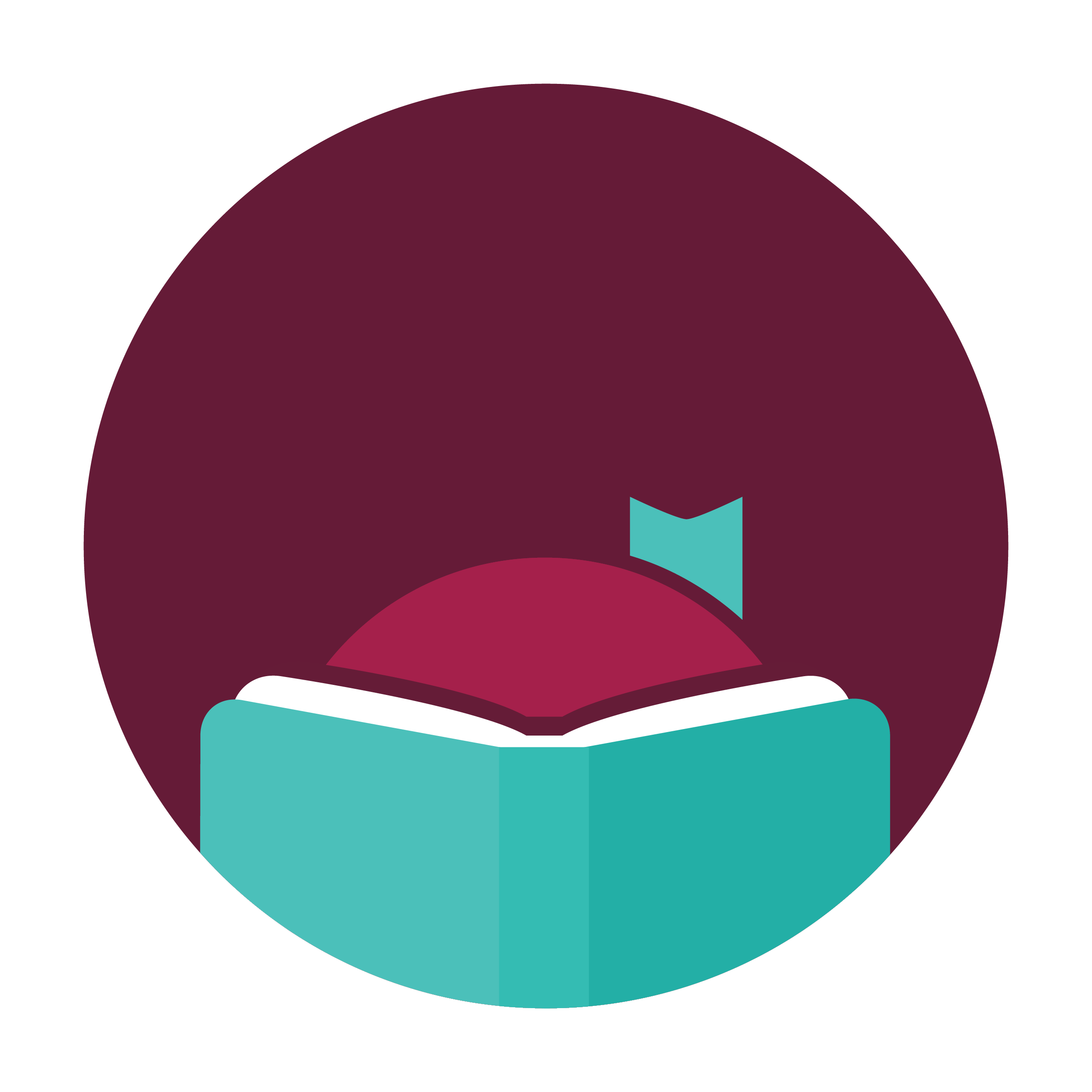 A stylized illustration of a ship with a large sail, viewed from above, in shades of teal and burgundy.