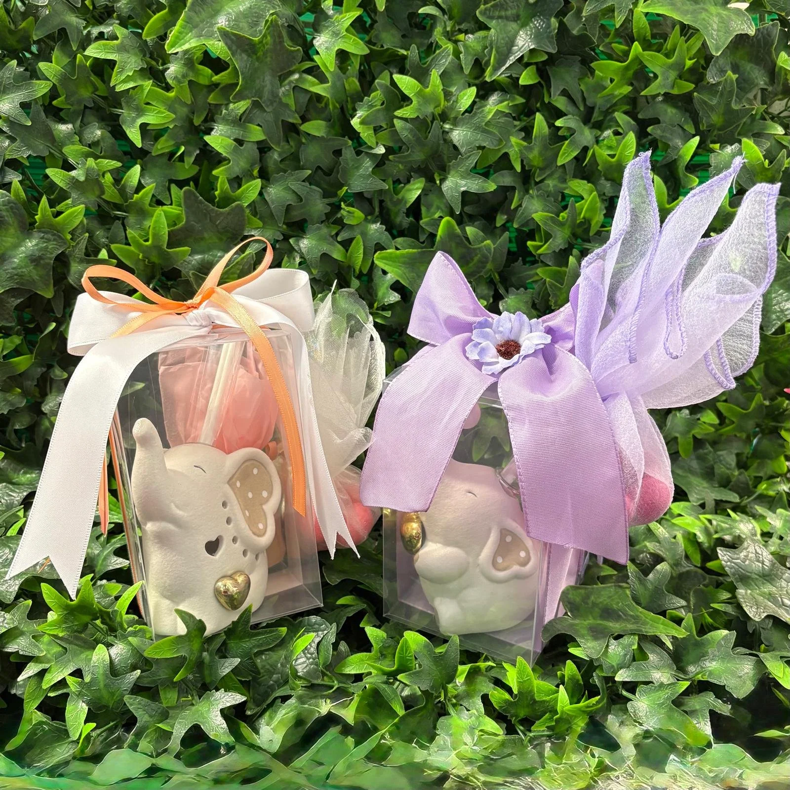 Dumbo e Daisy