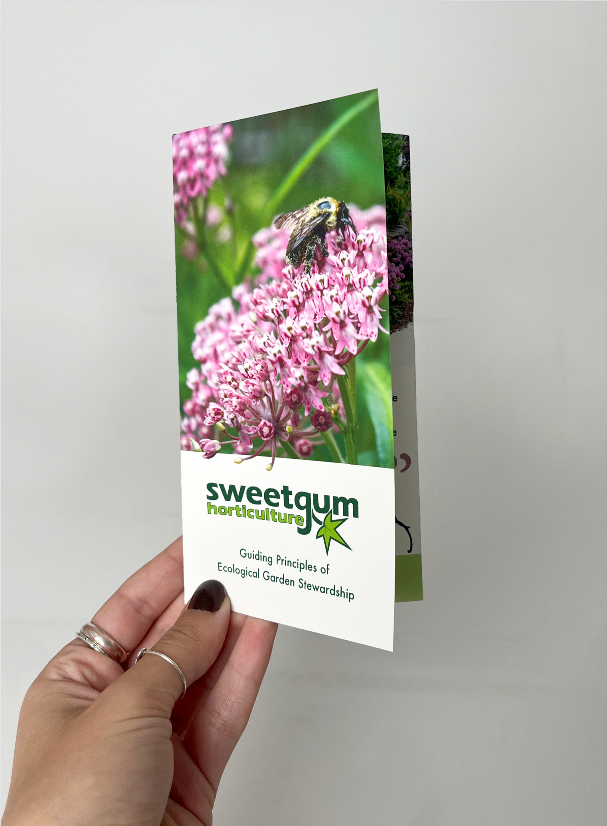 Promotional brochure.