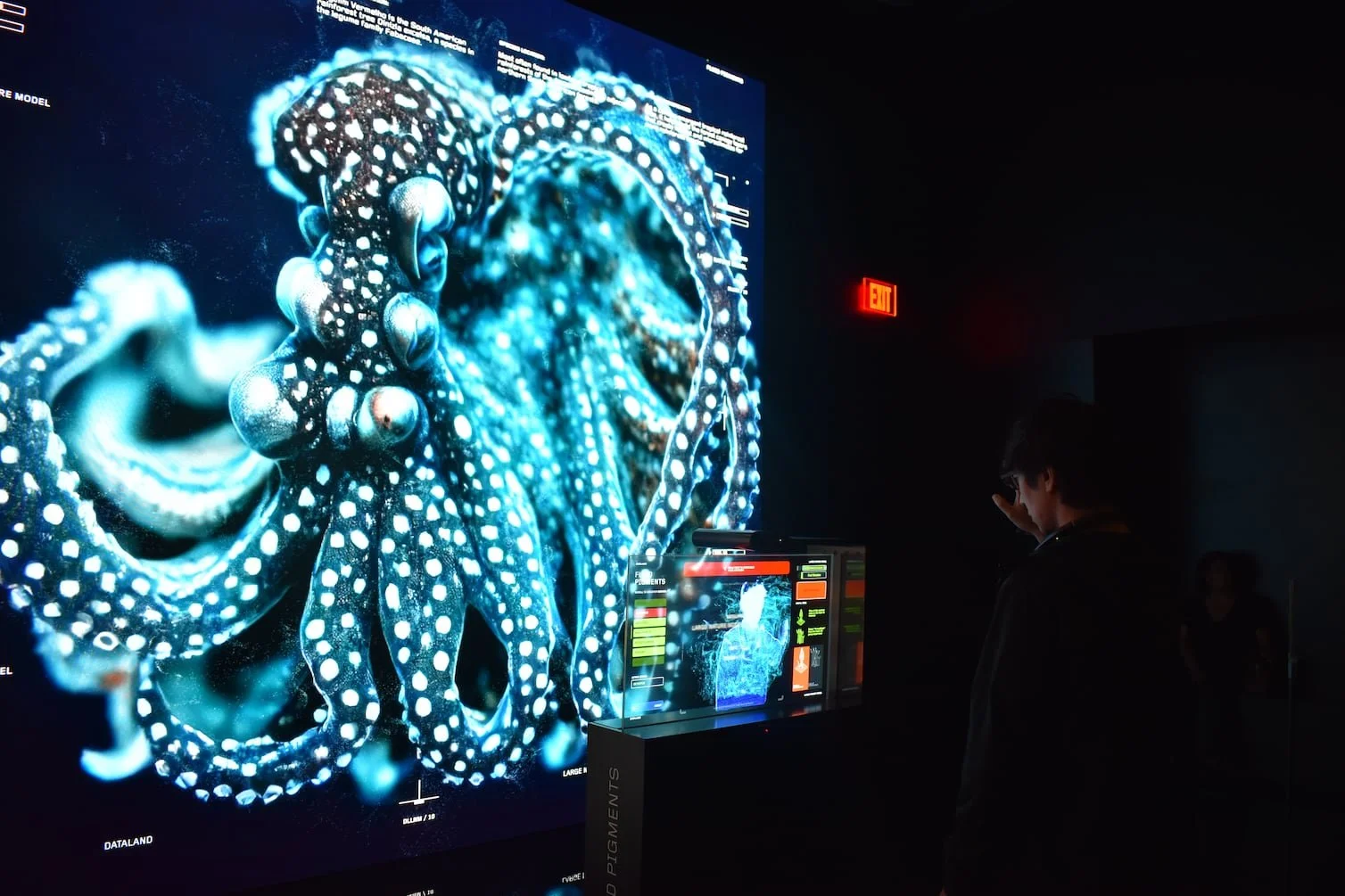 Dataland: así es el primer museo de inteligencia artificial que crea arte a partir de tus emociones