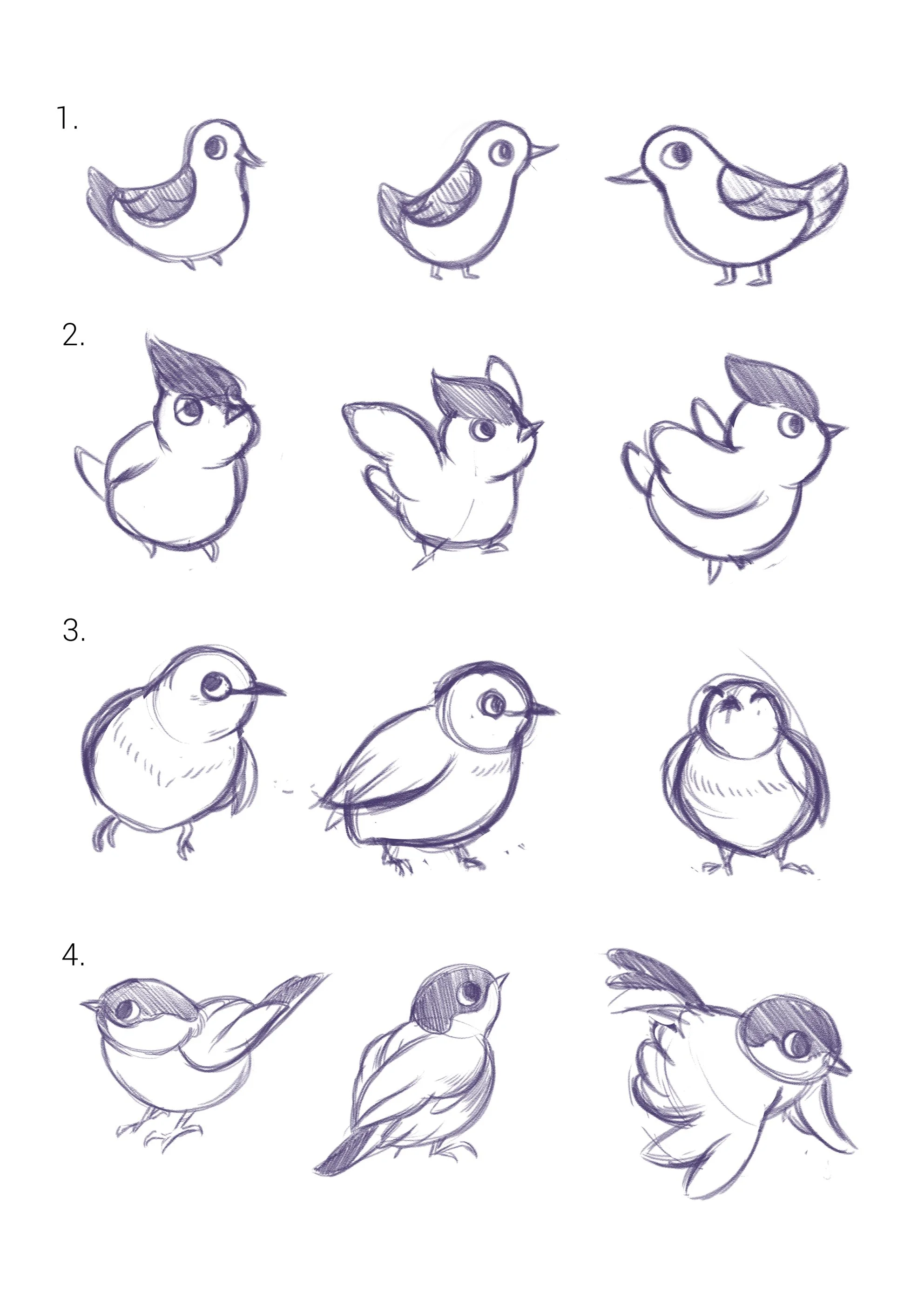 Concept art of a cute, fluffy bird character.