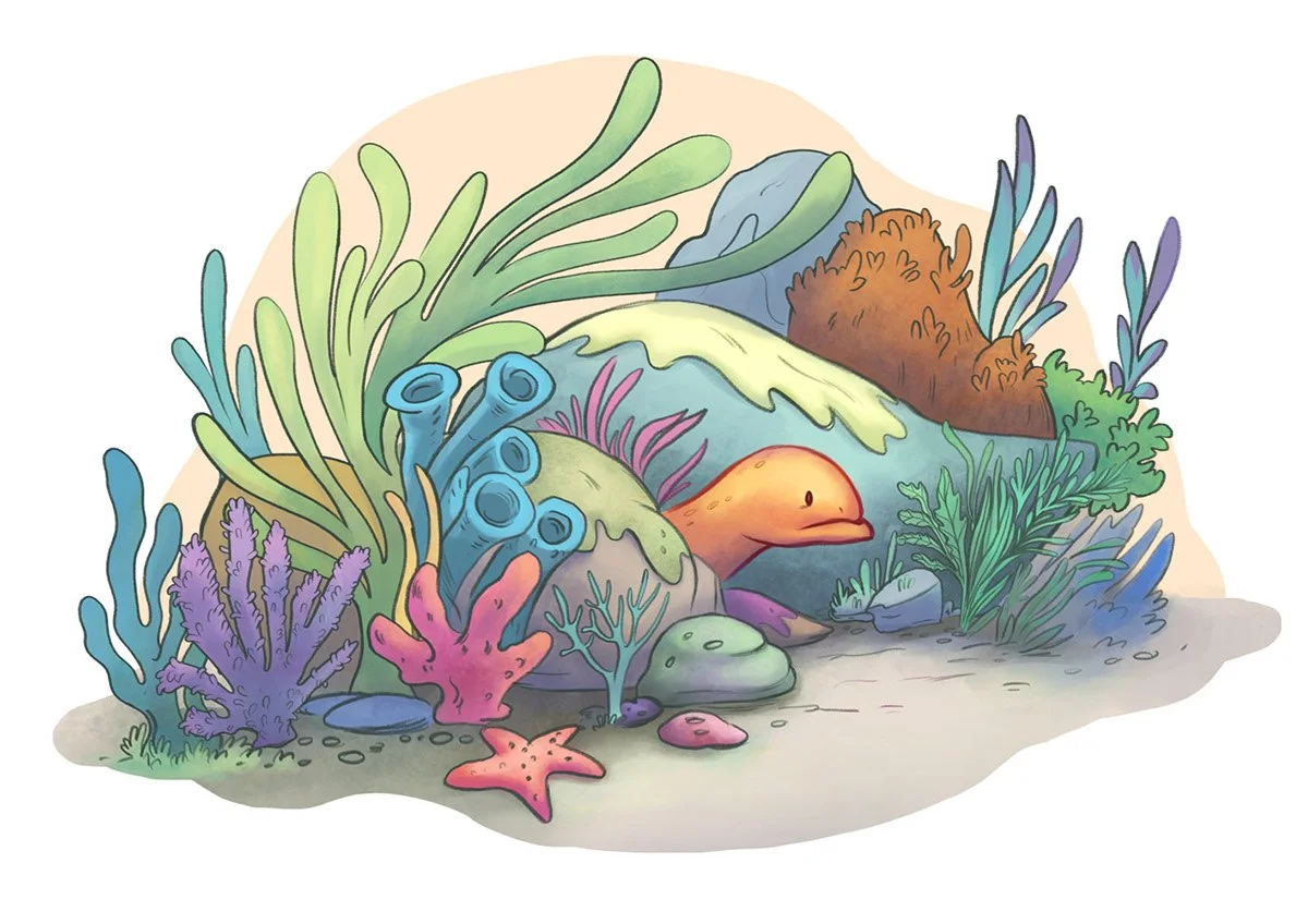 Shy brown eel hiding among colorful coral in a vibrant underwater scene.