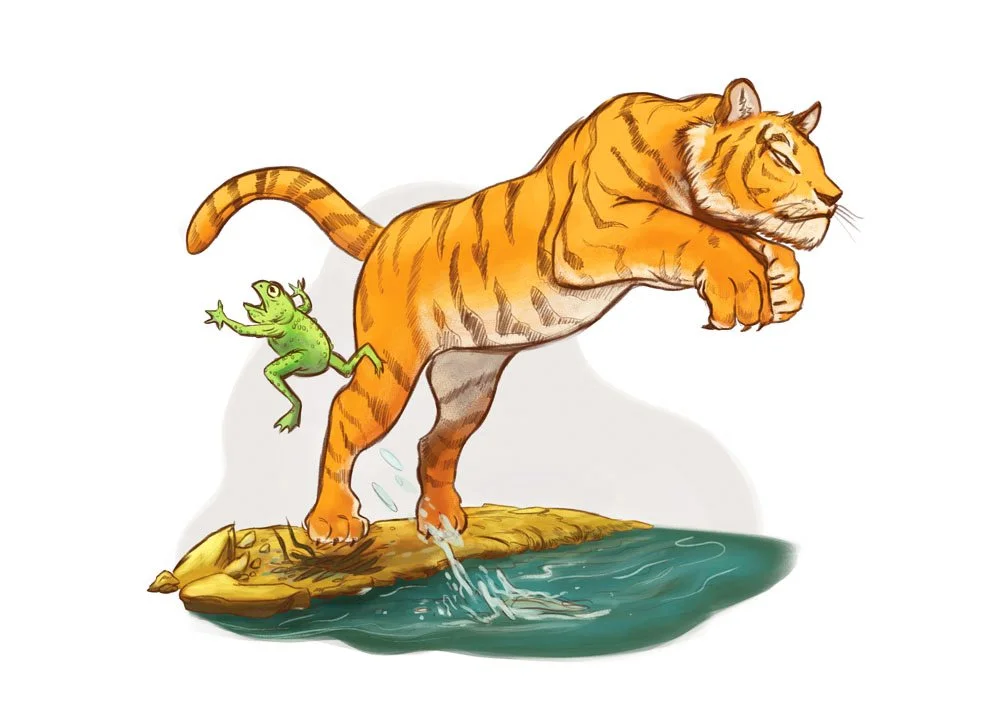 Tiger leaping across a lake as a frog jumps from the water to escape.