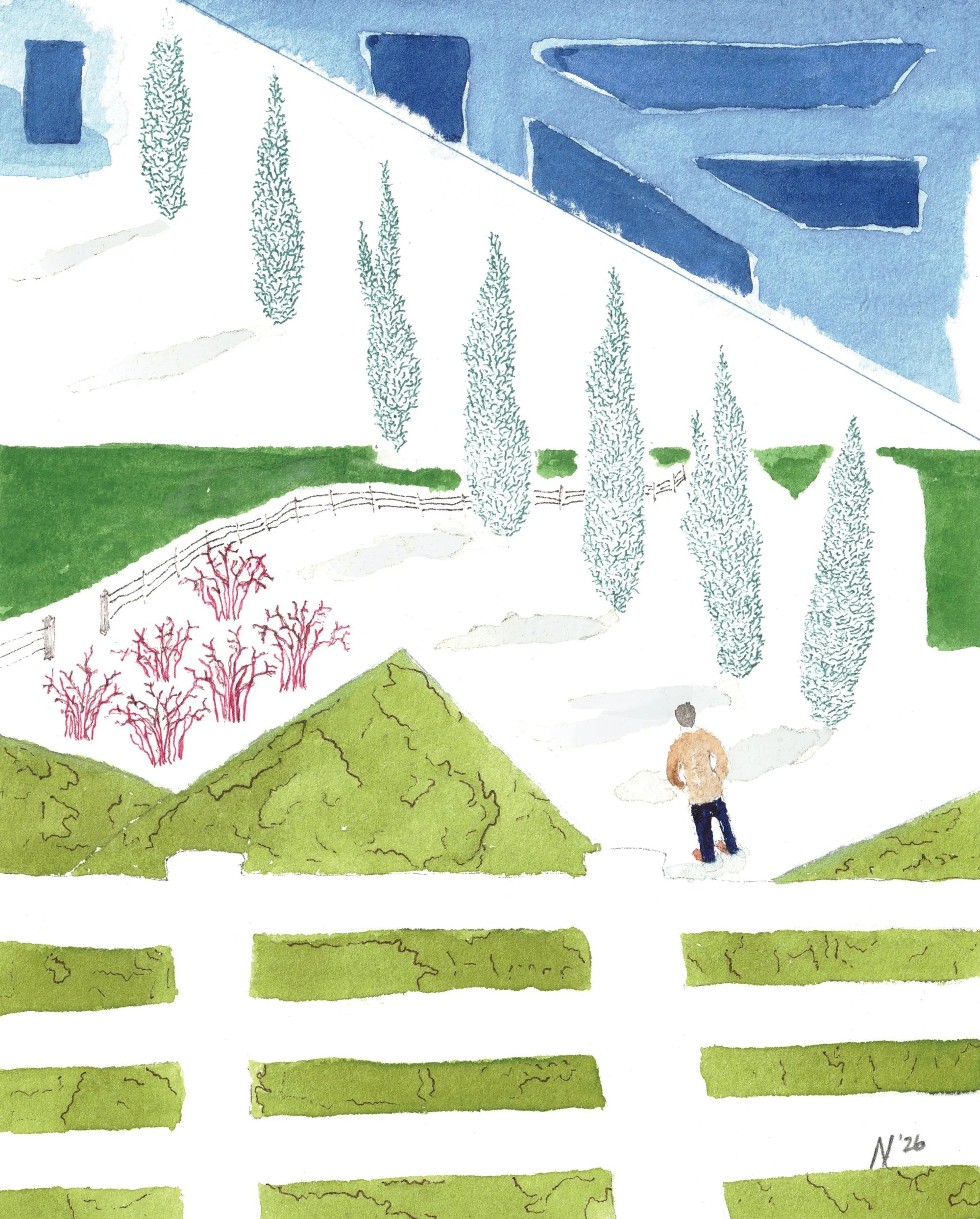Fence and Trees